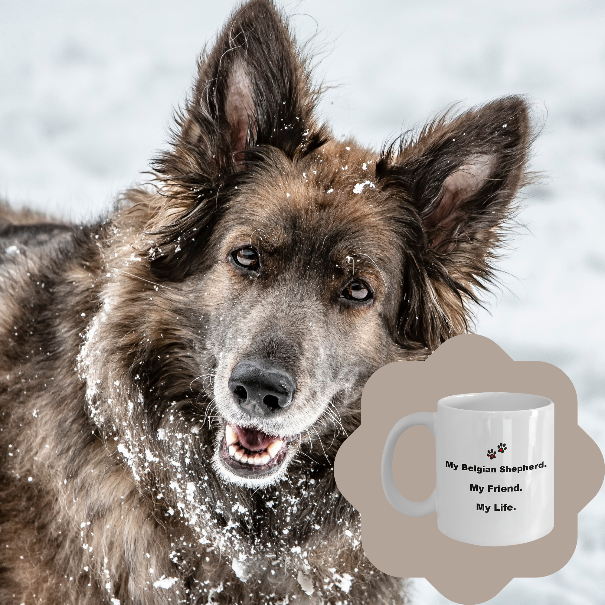 For Dog Lover, 50+ Breeds Avail, Dog Owner, Dog Walker, Dog Breeder, Animal Lover