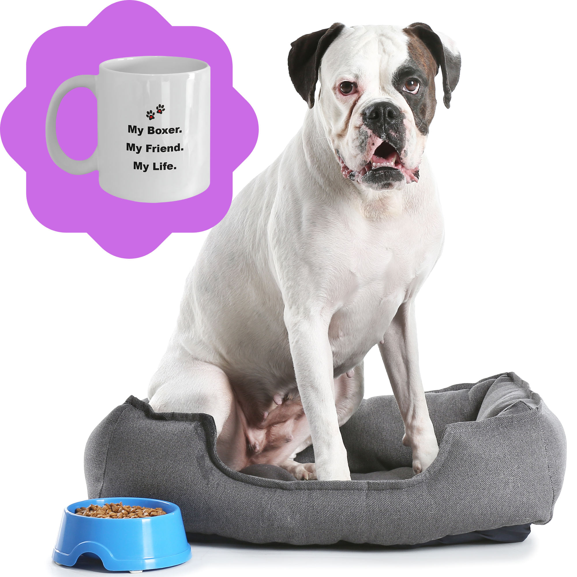 For Dog Lover, 50+ Breeds Avail, Dog Owner, Dog Walker, Dog Breeder, Animal Lover