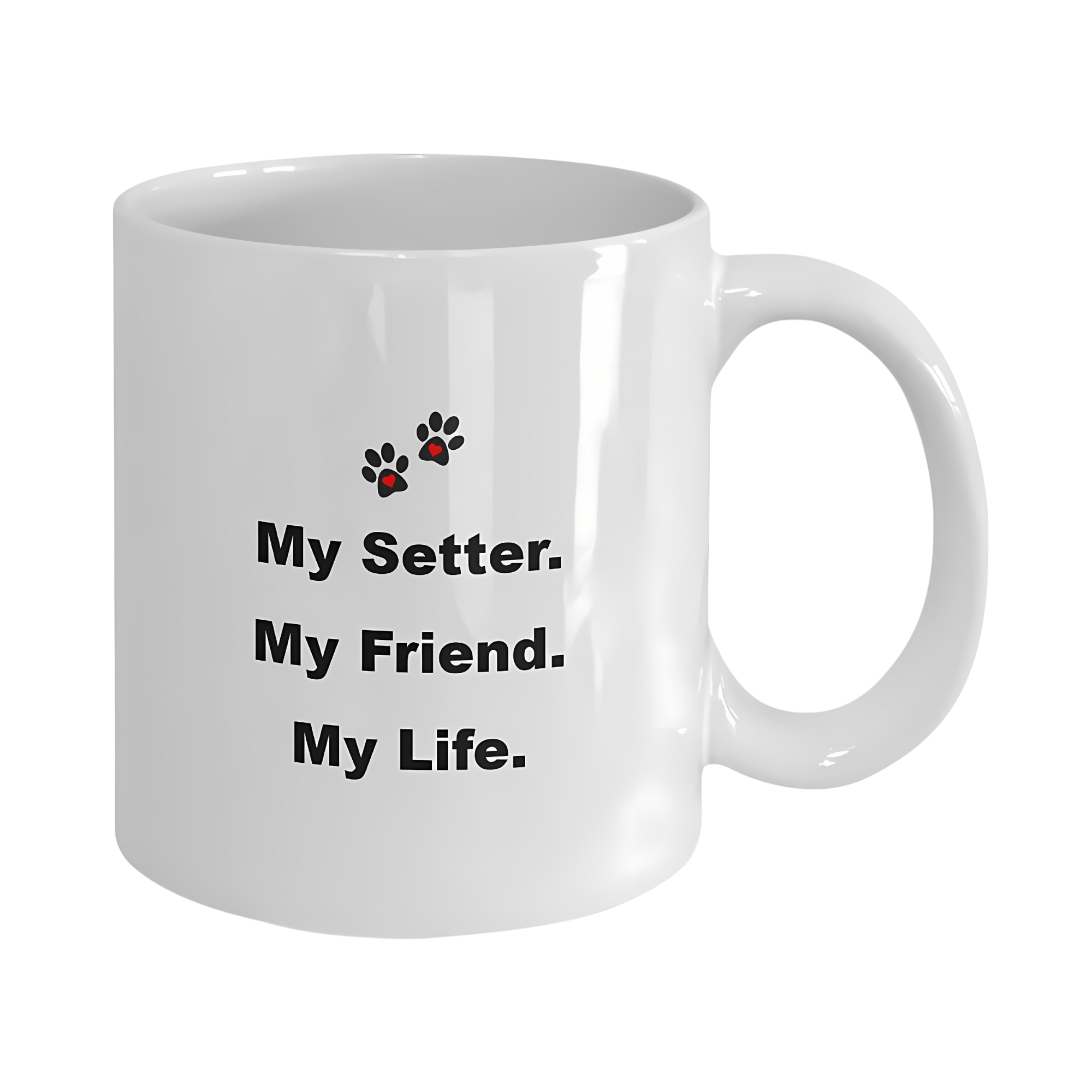 ANSSEN 60 - My Setter My Friend My Life 1-Front.png