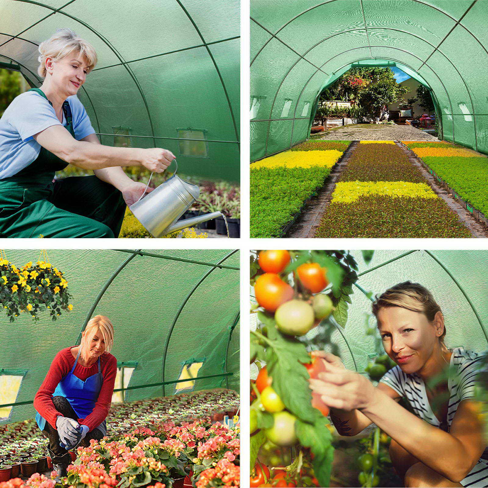 Green Fingers Greenhouse 6x3x2M Walk in Green House Tunnel Plant Garden Shed Dome