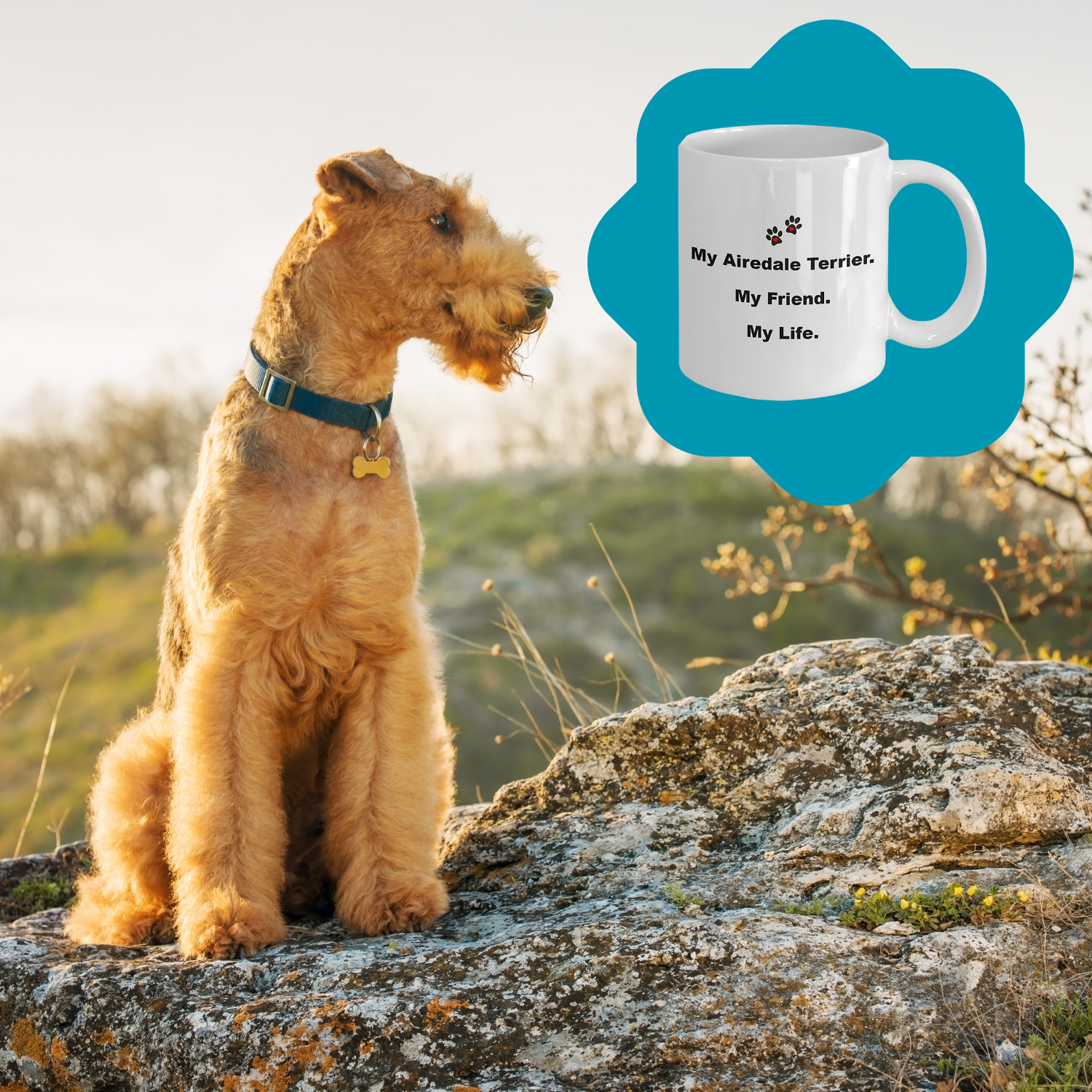 For Dog Lover, 50+ Breeds Avail, Dog Owner, Dog Walker, Dog Breeder, Animal Lover