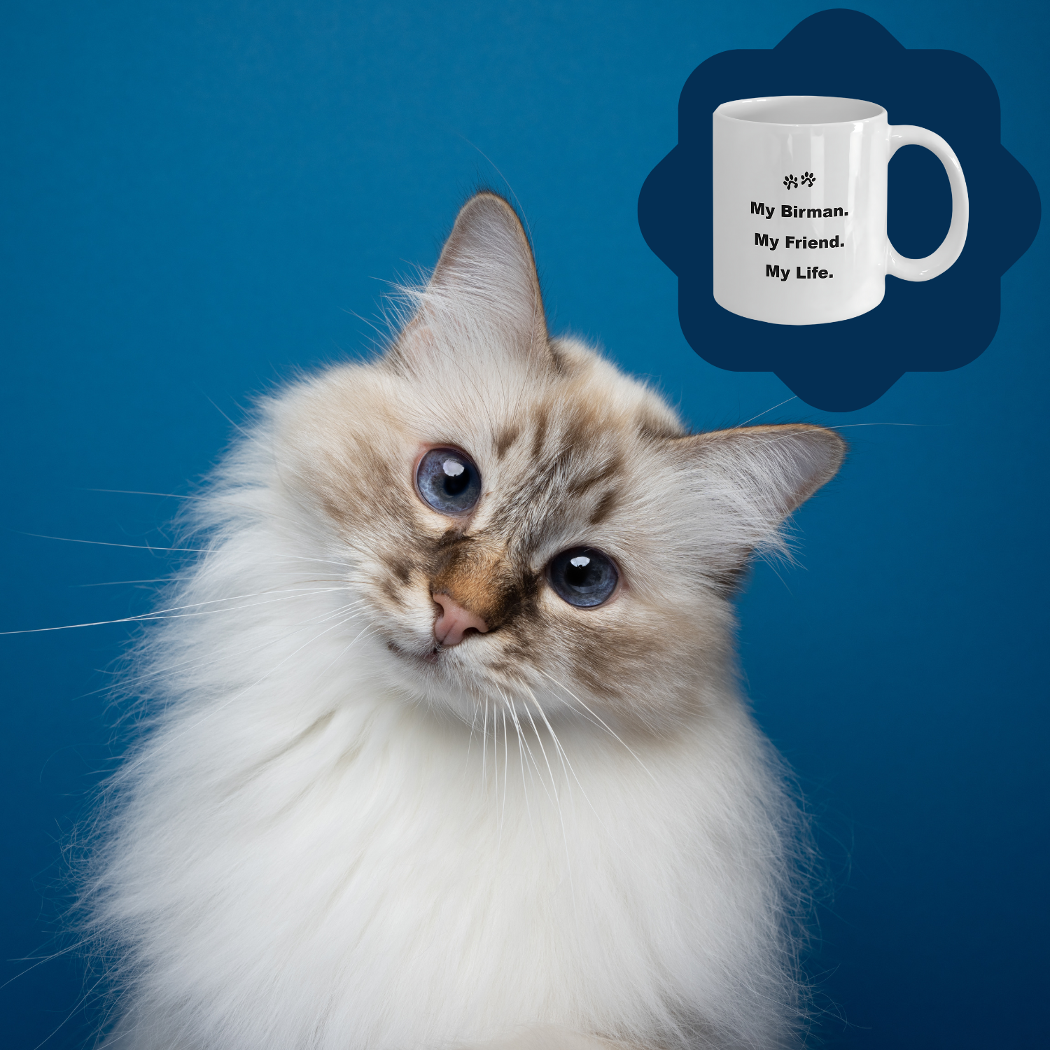 For Cat Lover, 40+ Breeds Avail, Cat Owner, Cat Breeder, Feline Friend