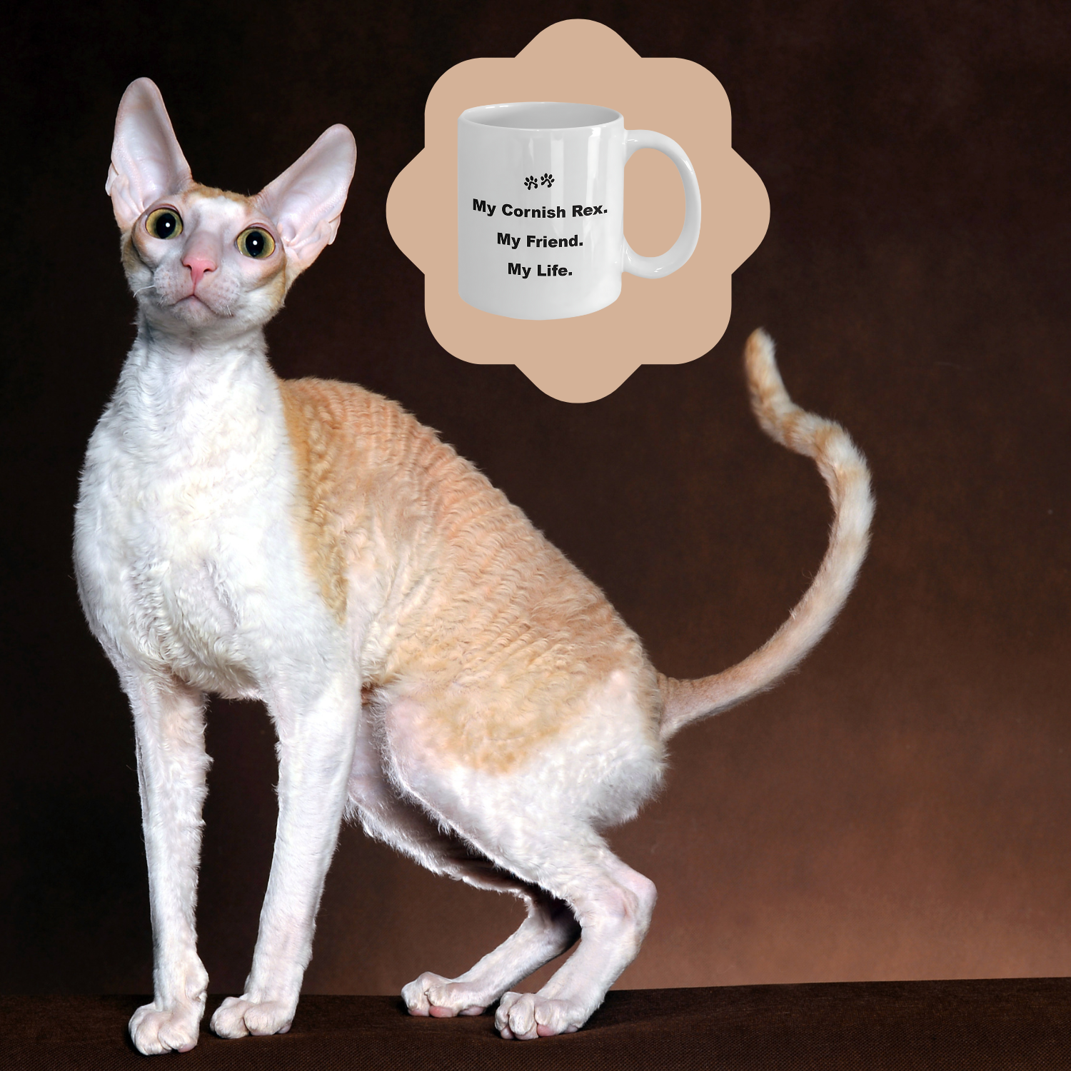 For Cat Lover, 40+ Breeds Avail, Cat Owner, Cat Breeder, Feline Friend