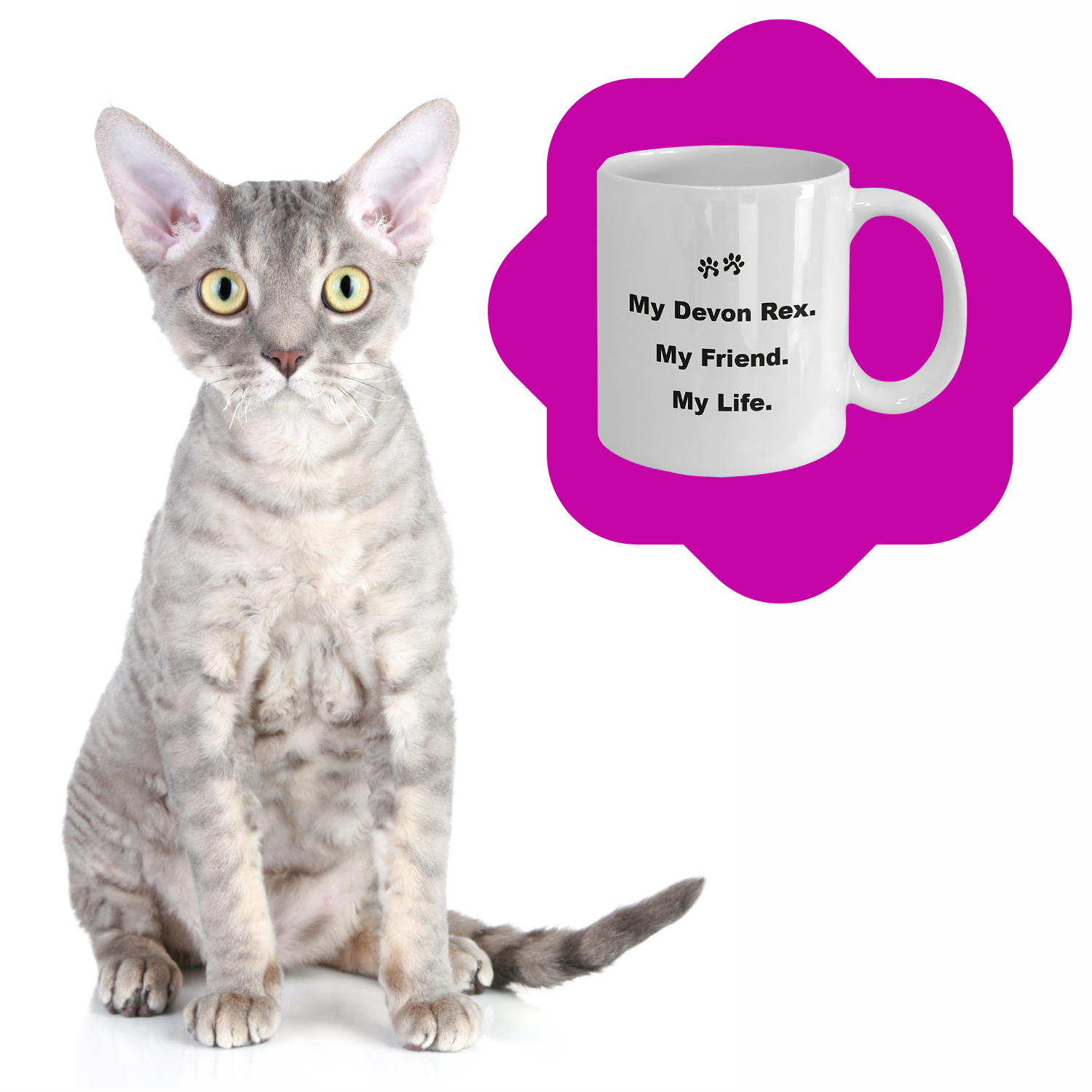 For Cat Lover, 40+ Breeds Avail, Cat Owner, Cat Breeder, Feline Friend