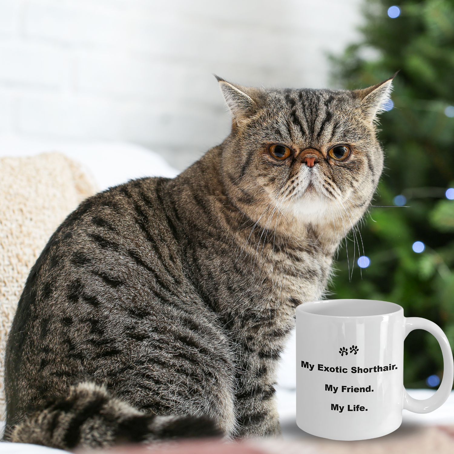 For Cat Lover, 40+ Breeds Avail, Cat Owner, Cat Breeder, Feline Friend