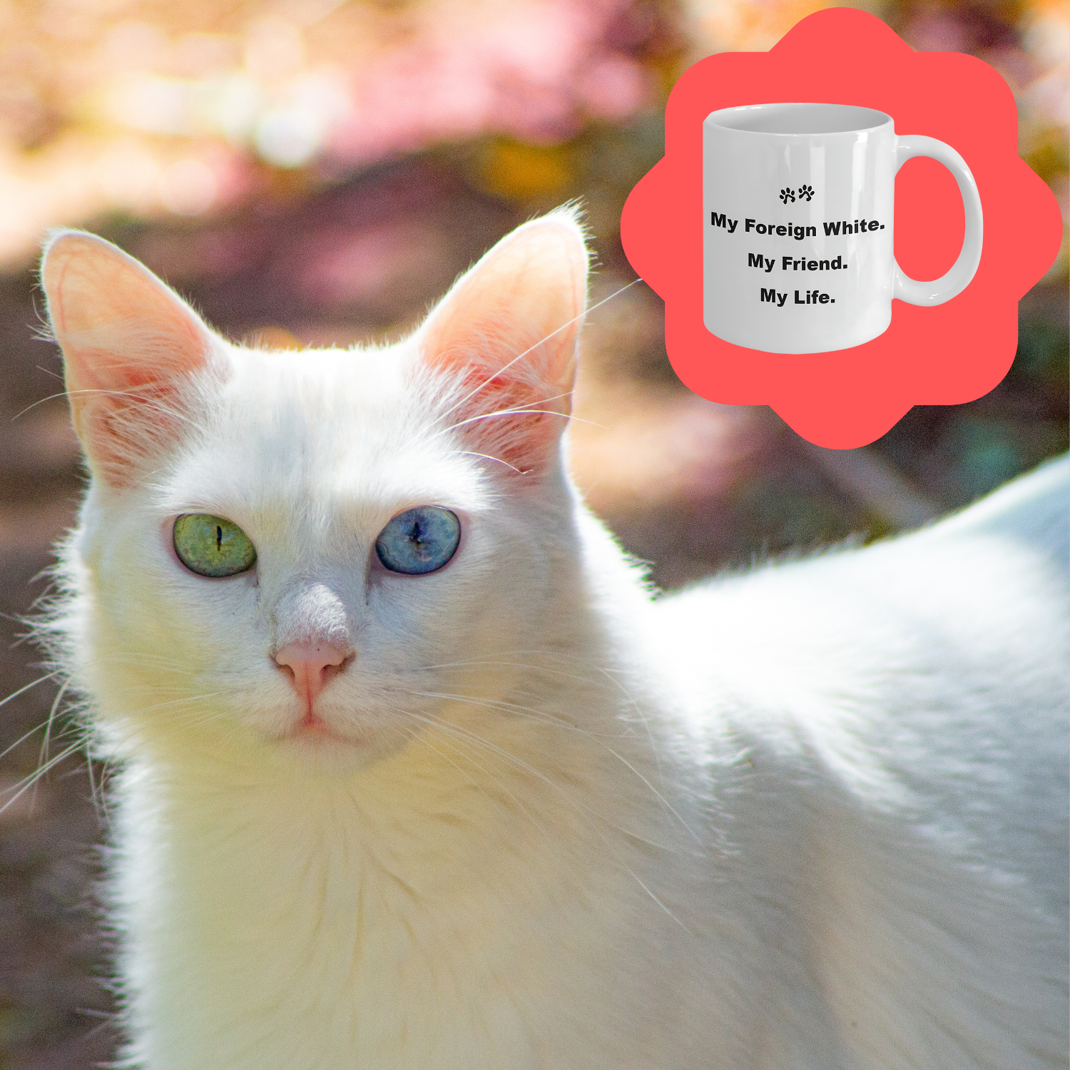 For Cat Lover, 40+ Breeds Avail, Cat Owner, Cat Breeder, Feline Friend