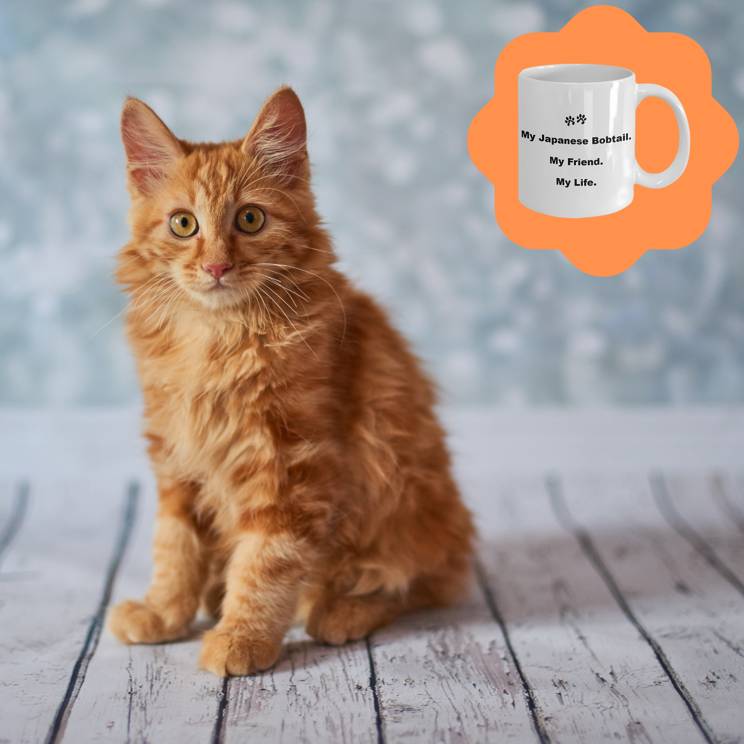 For Cat Lover, 40+ Breeds Avail, Cat Owner, Cat Breeder, Feline Friend