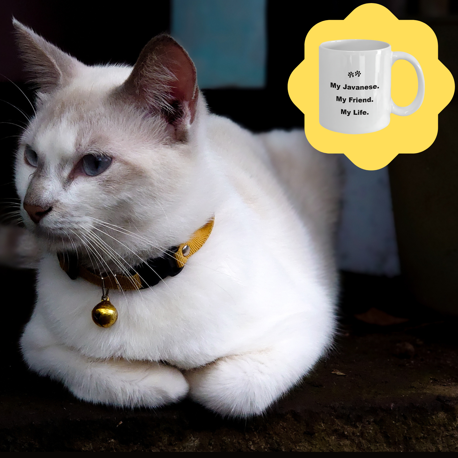 For Cat Lover, 40+ Breeds Avail, Cat Owner, Cat Breeder, Feline Friend