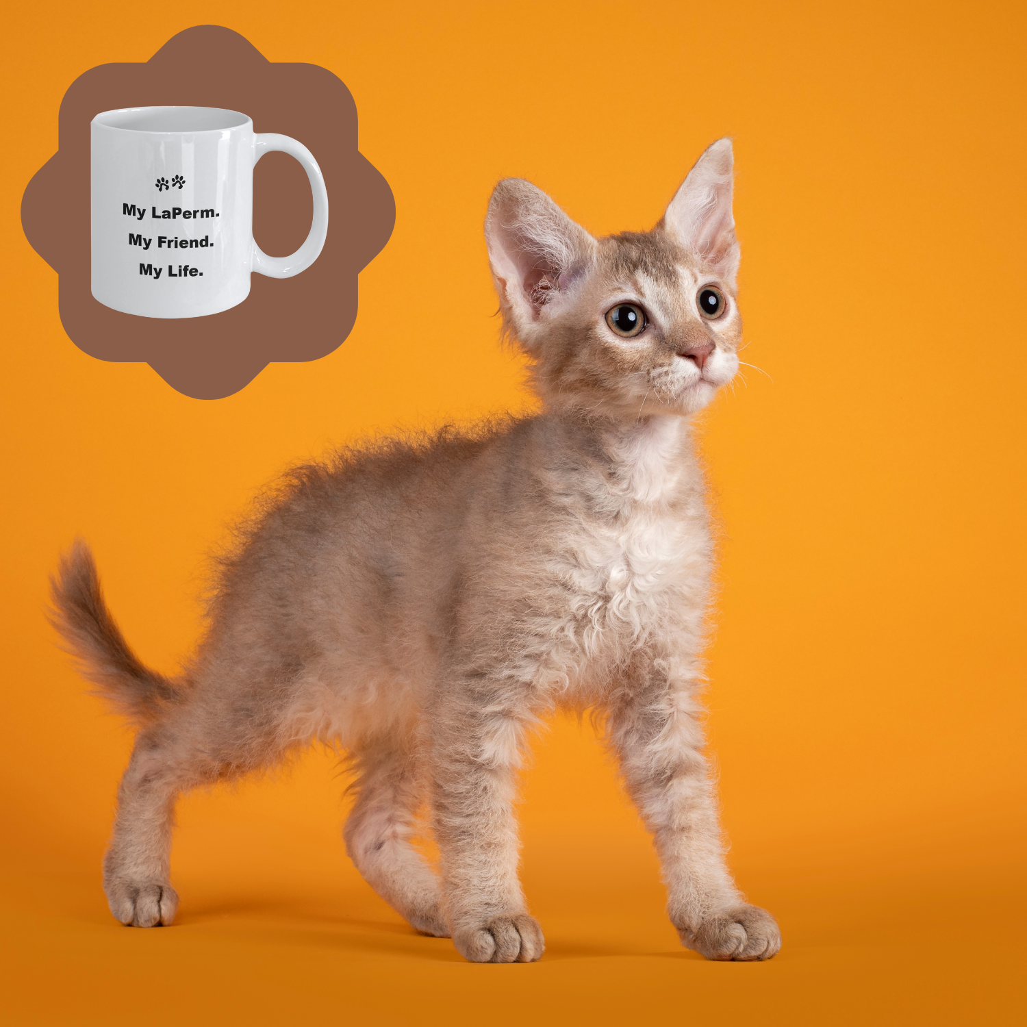 For Cat Lover, 40+ Breeds Avail, Cat Owner, Cat Breeder, Feline Friend