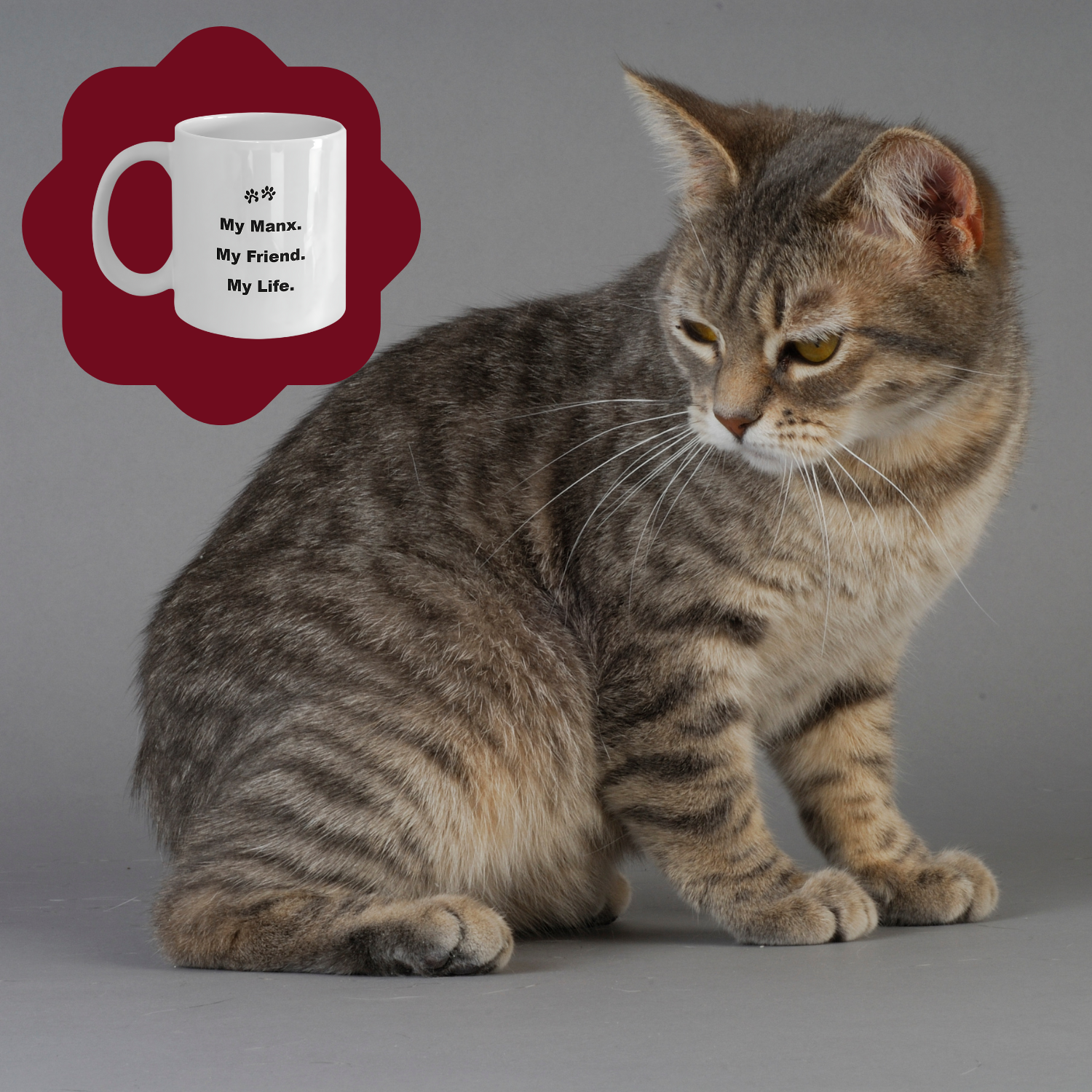 For Cat Lover, 40+ Breeds Avail, Cat Owner, Cat Breeder, Feline Friend