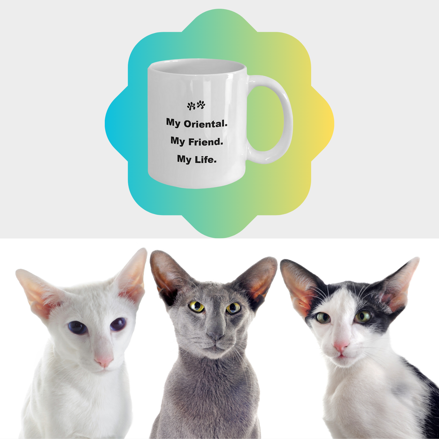 For Cat Lover, 40+ Breeds Avail, Cat Owner, Cat Breeder, Feline Friend