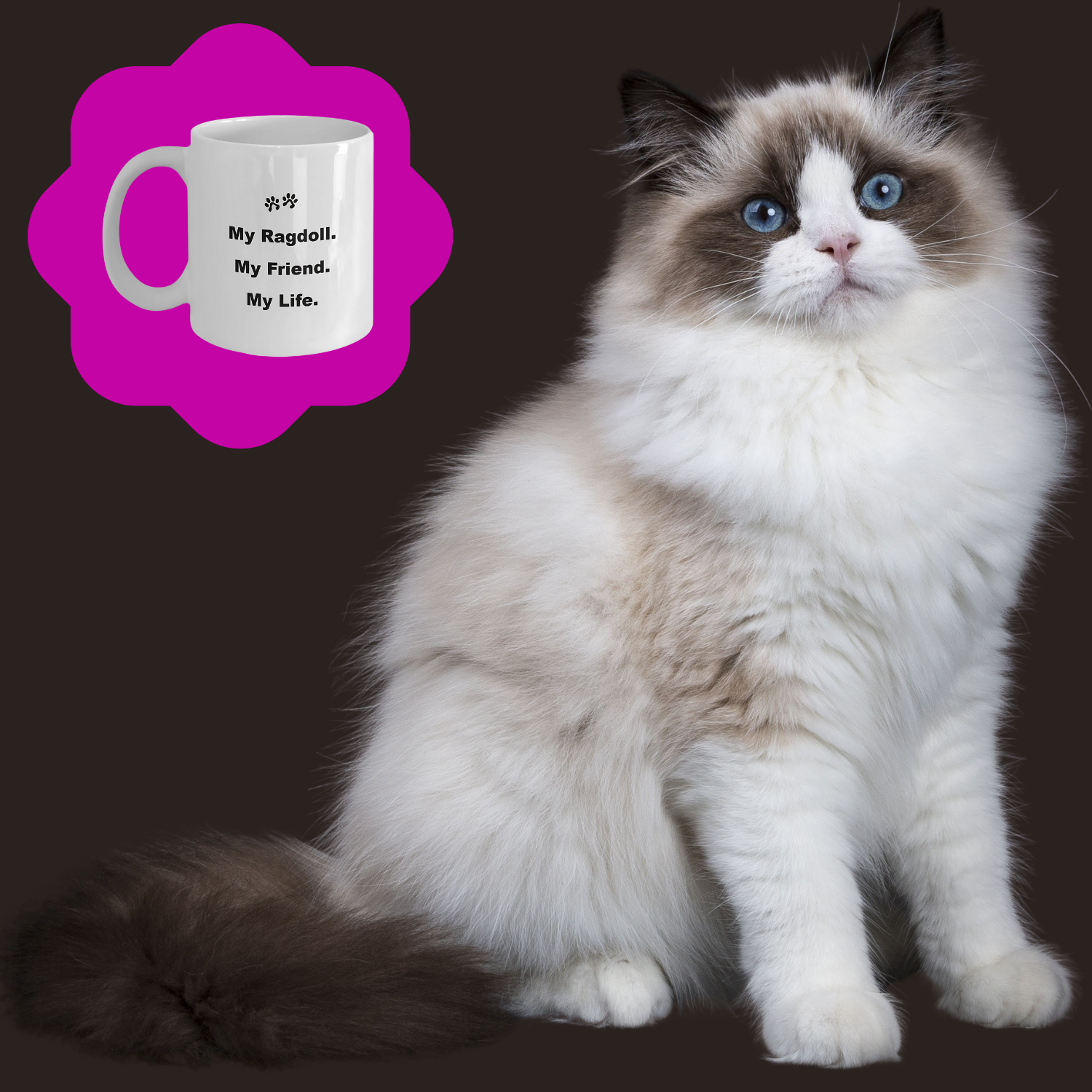 For Cat Lover, 40+ Breeds Avail, Cat Owner, Cat Breeder, Feline Friend