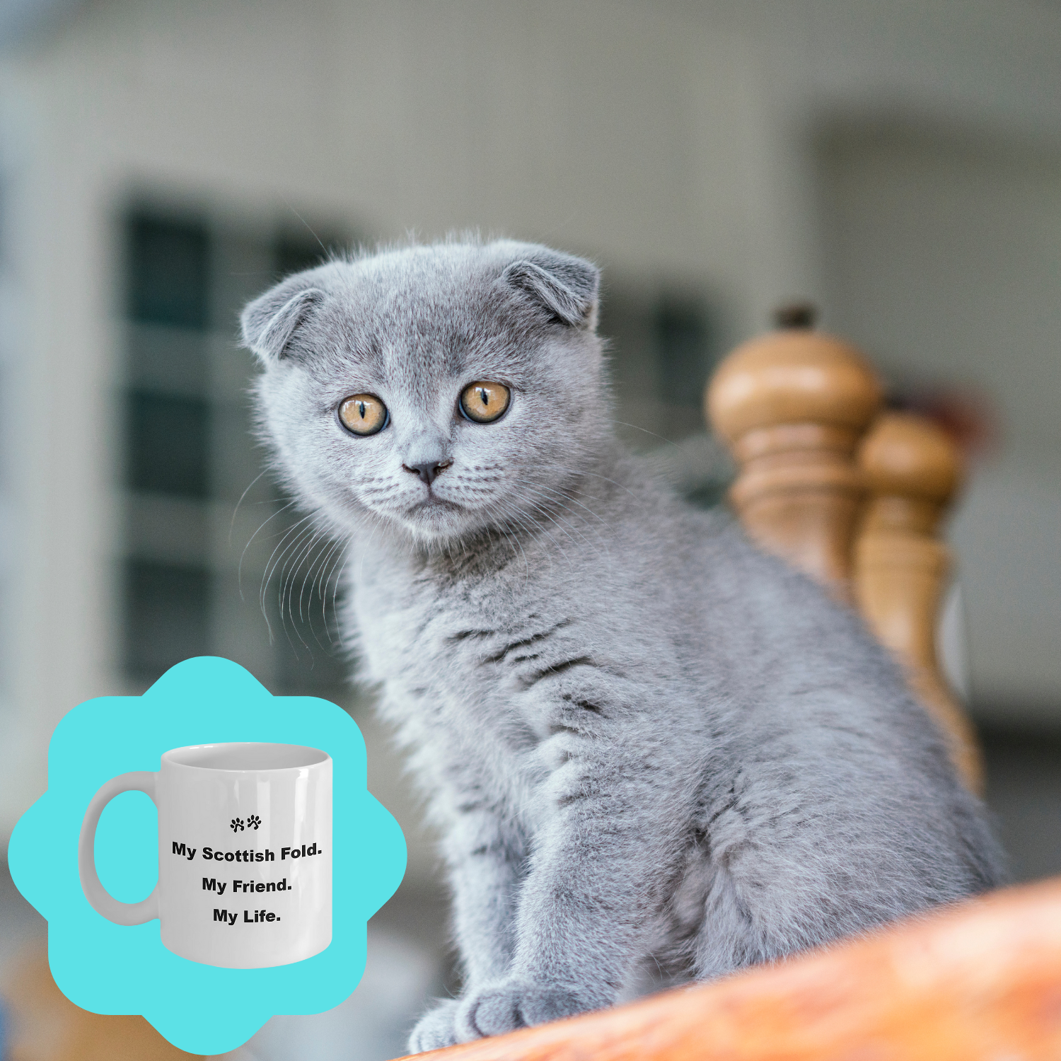 For Cat Lover, 40+ Breeds Avail, Cat Owner, Cat Breeder, Feline Friend