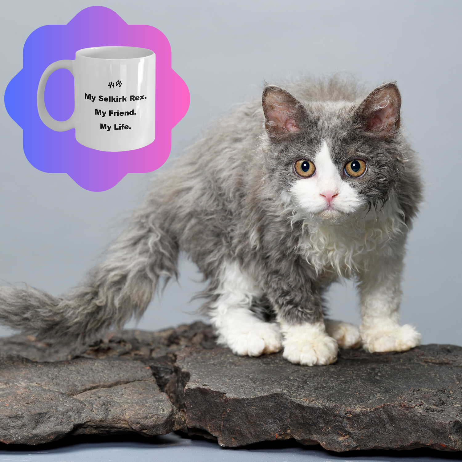 For Cat Lover, 40+ Breeds Avail, Cat Owner, Cat Breeder, Feline Friend