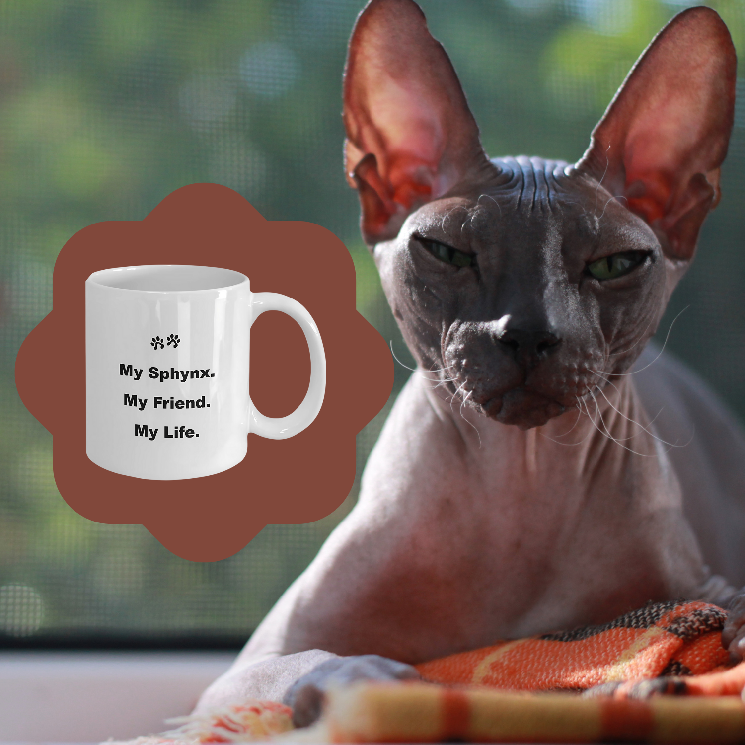 For Cat Lover, 40+ Breeds Avail, Cat Owner, Cat Breeder, Feline Friend