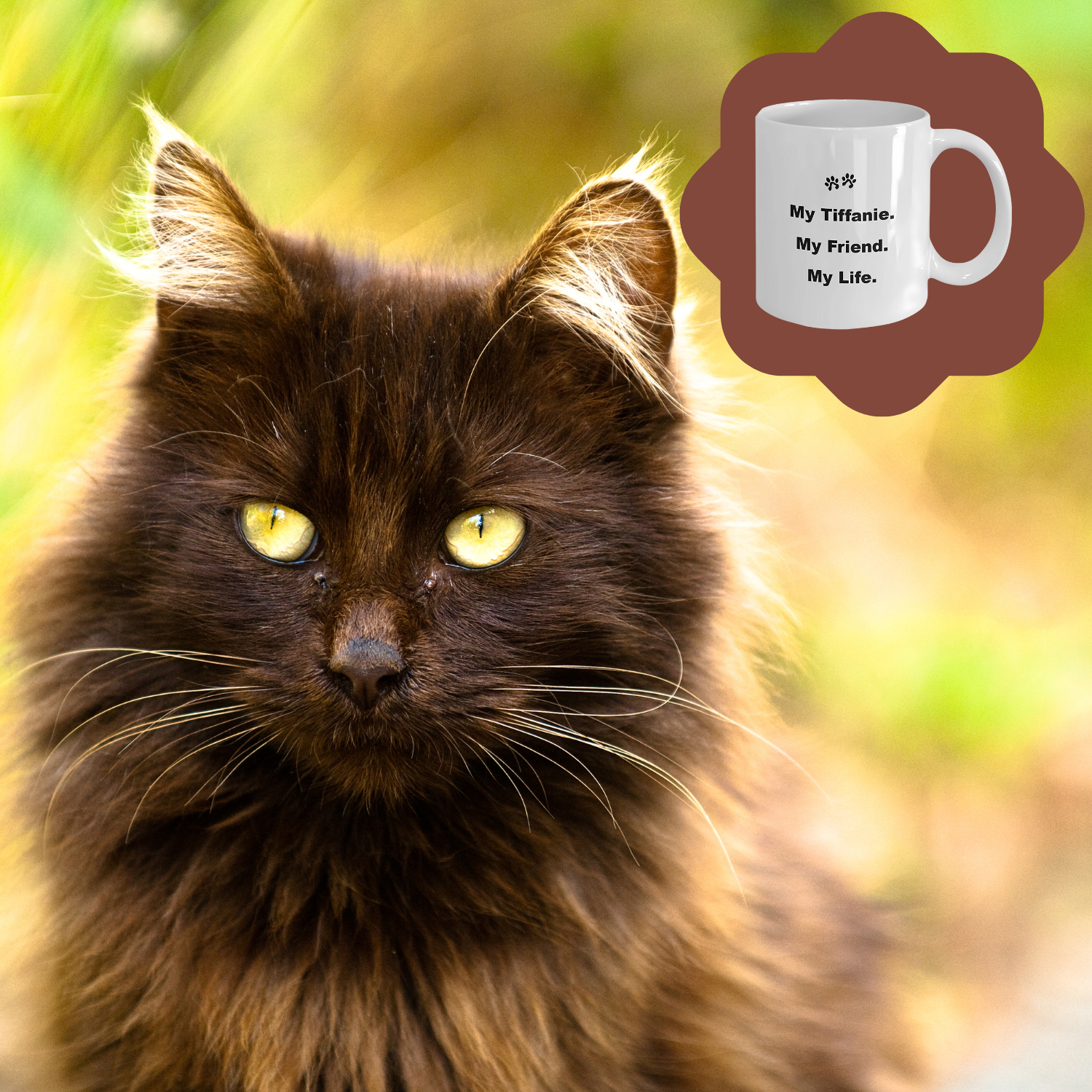 For Cat Lover, 40+ Breeds Avail, Cat Owner, Cat Breeder, Feline Friend