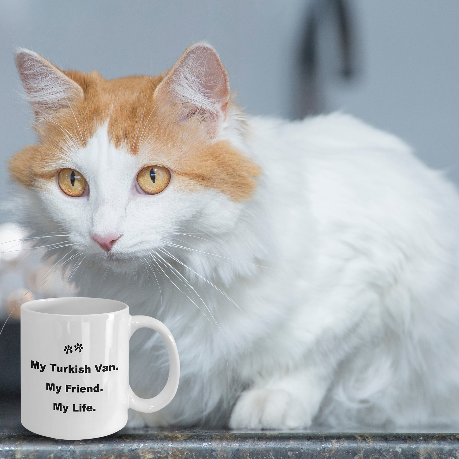 For Cat Lover, 40+ Breeds Avail, Cat Owner, Cat Breeder, Feline Friend