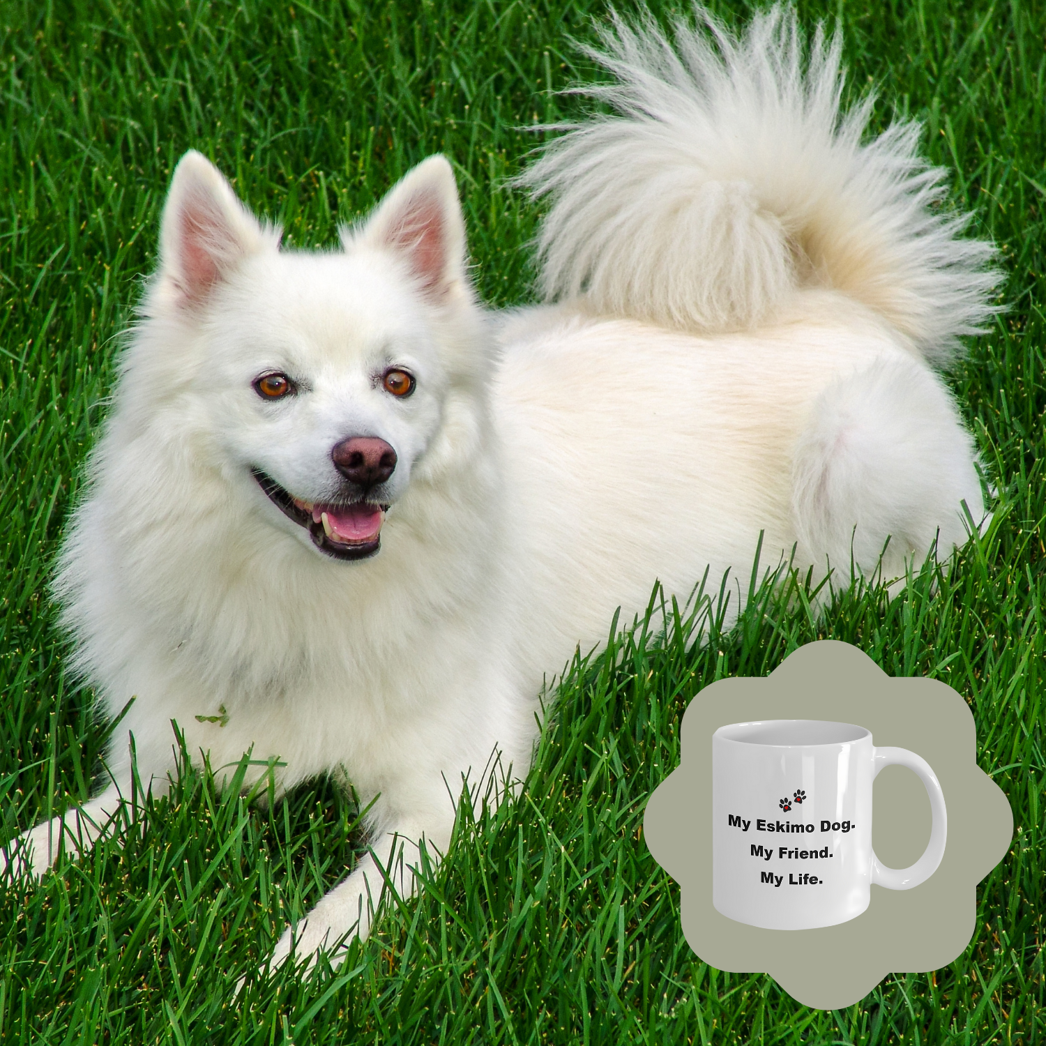 For Dog Lover, 50+ Breeds Avail, Dog Owner, Dog Walker, Dog Breeder, Animal Lover