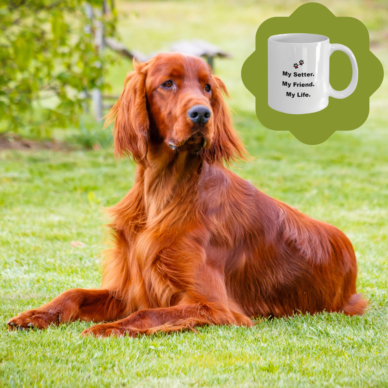 For Dog Lover, 50+ Breeds Avail, Dog Owner, Dog Walker, Dog Breeder, Animal Lover