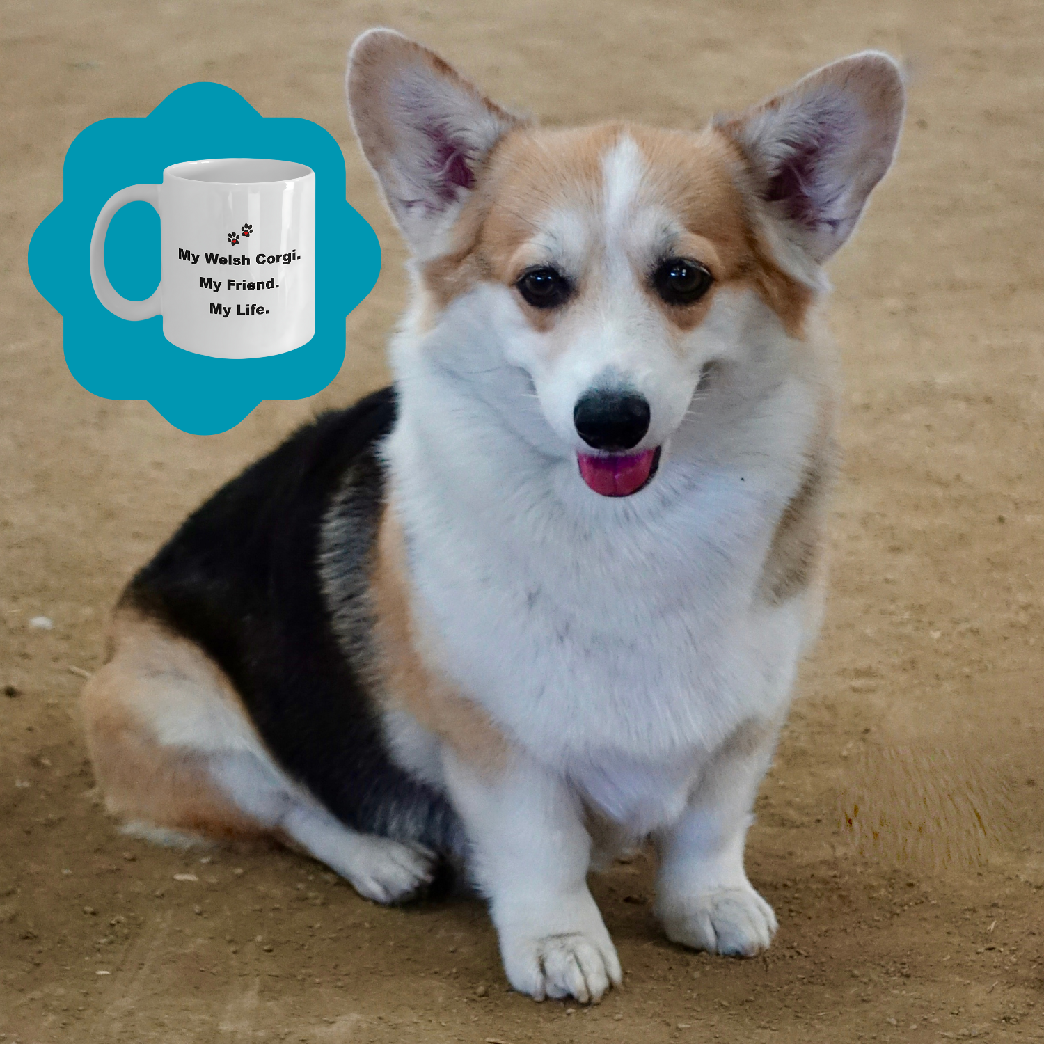 For Dog Lover, 50+ Breeds Avail, Dog Owner, Dog Walker, Dog Breeder, Animal Lover