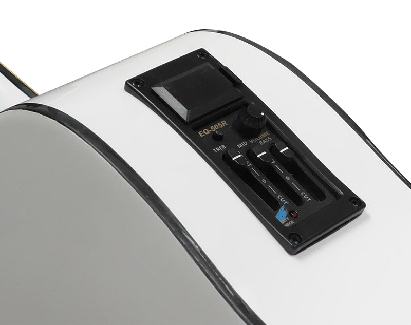 Freedom 41" Semi-Acoustic Guitar with Built-In Pickup Stripe White AG310