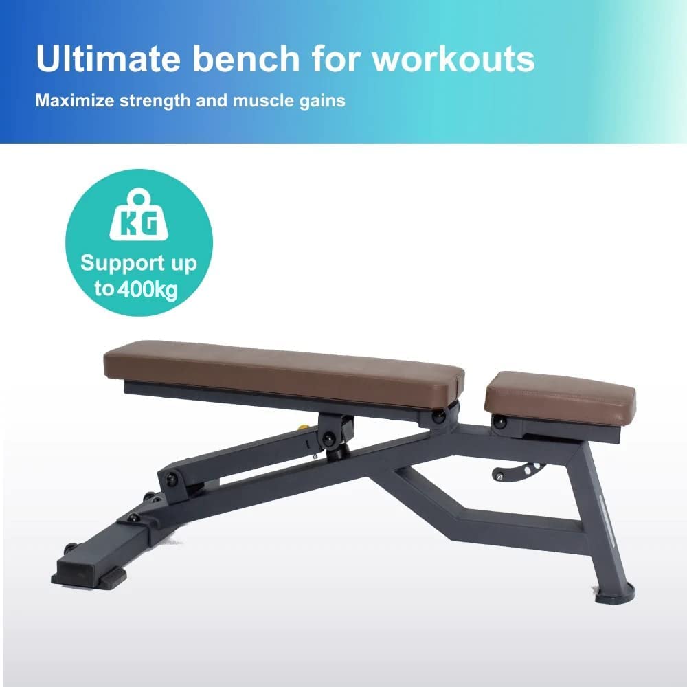 Sardine Sport Heavy Duty Bench Foldable Adjustable Commercial Grade Capacity 450kg(Brown)