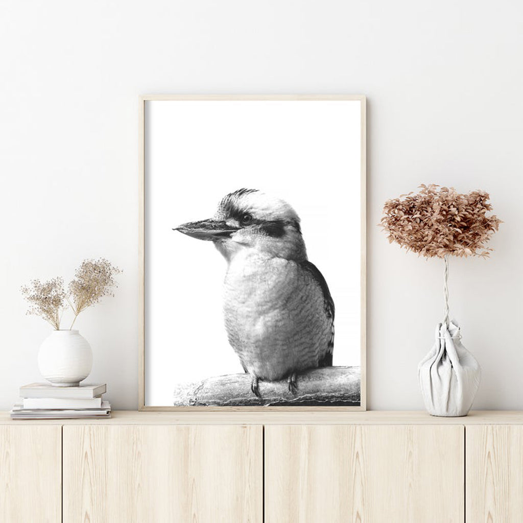 50cmx70cm Kookaburra Black Frame Canvas Wall Art