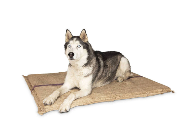 Jumbo Hessian Pet Dog Puppy Bed Mat Pad House Kennel Cushion With Foam 110 x 78 cm