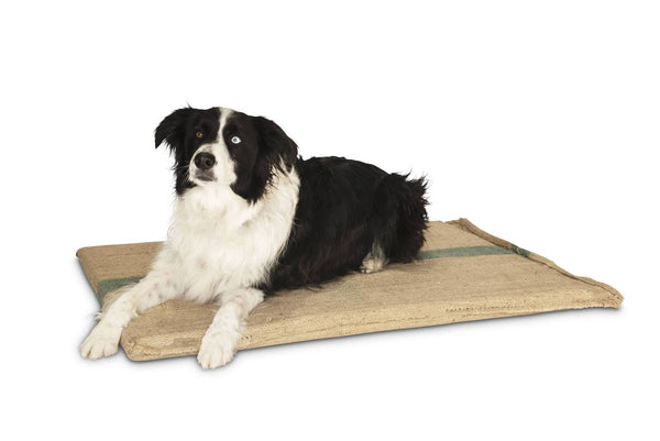 Large Hessian Pet Dog Puppy Bed Mat Pad House Kennel Cushion With Foam 100 x 69 cm
