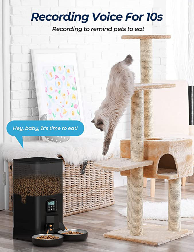 6L Automatic Digital Pet Dog Cat Feeder Double Food Bowl Dispenser