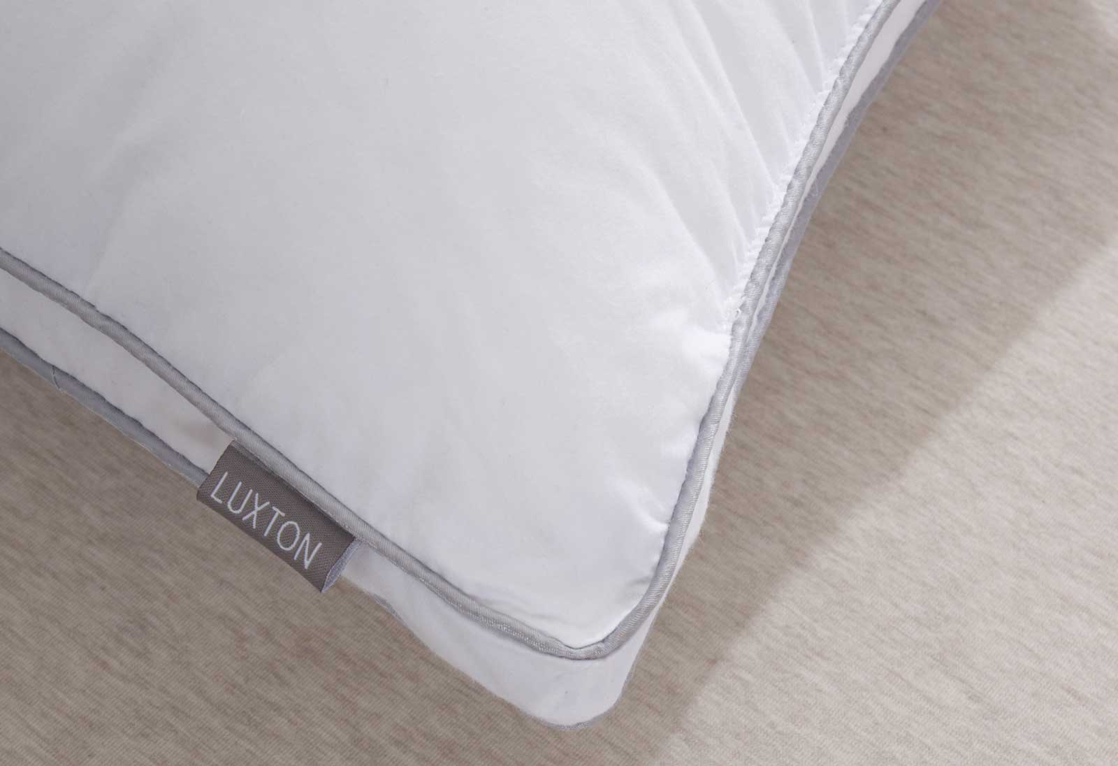 Luxton Medium / High Profile Pillow with Japara Cotton Casing