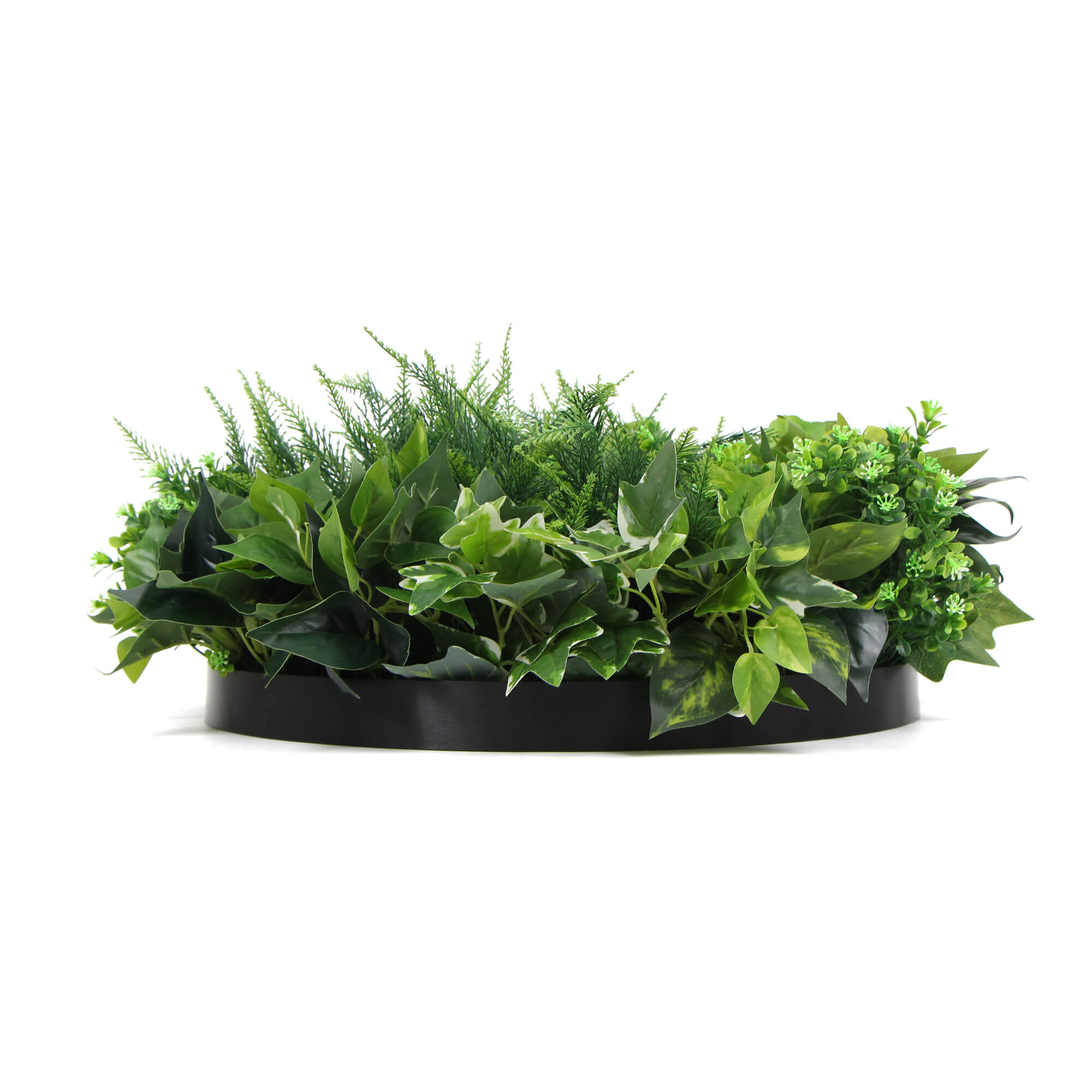 Slimline Artificial Green Wall Disc Art 60cm Mixed Green Fern & Ivy (Black)
