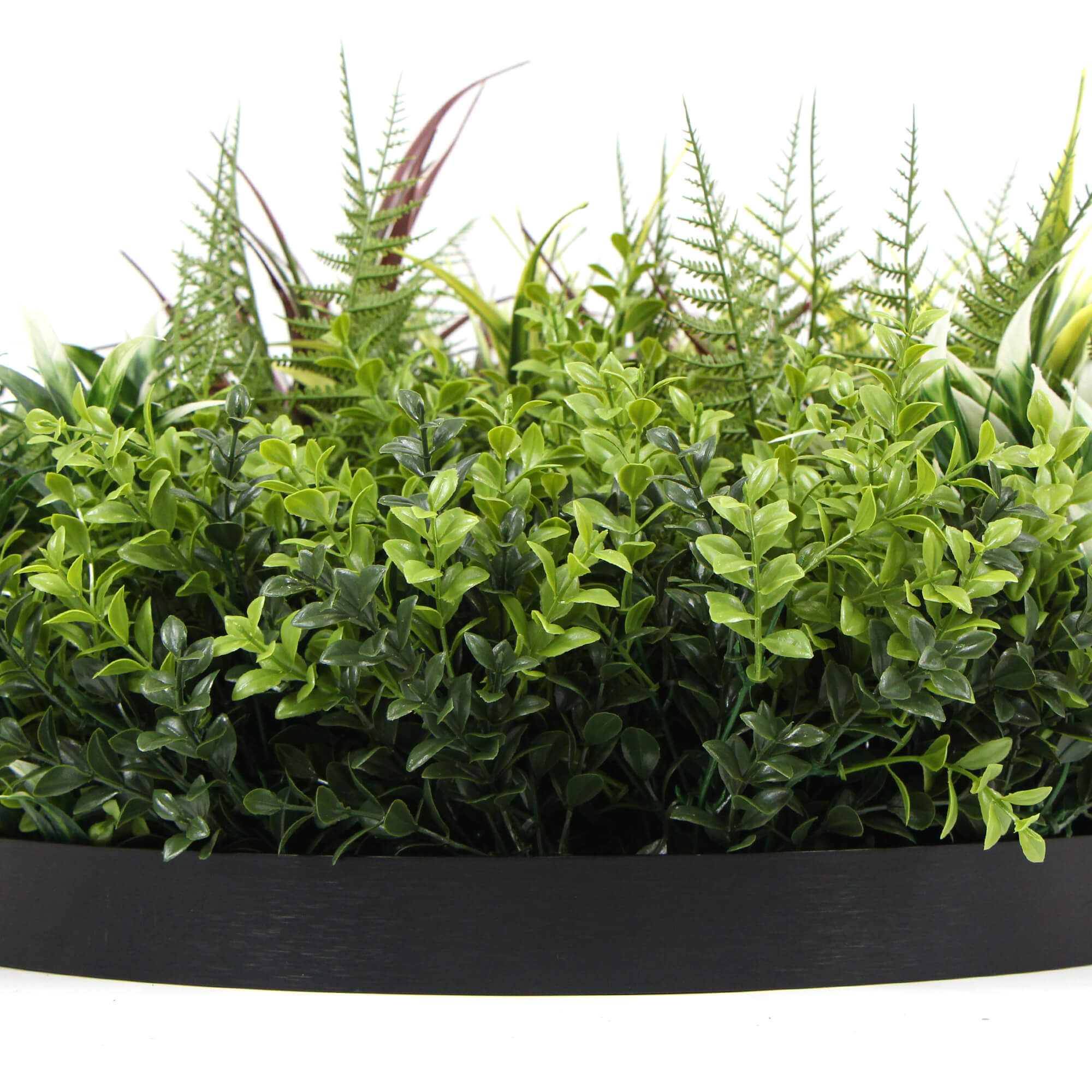 Slimline Artificial Green Wall Disc Art 50cm Green Field UV Resistant (Black)