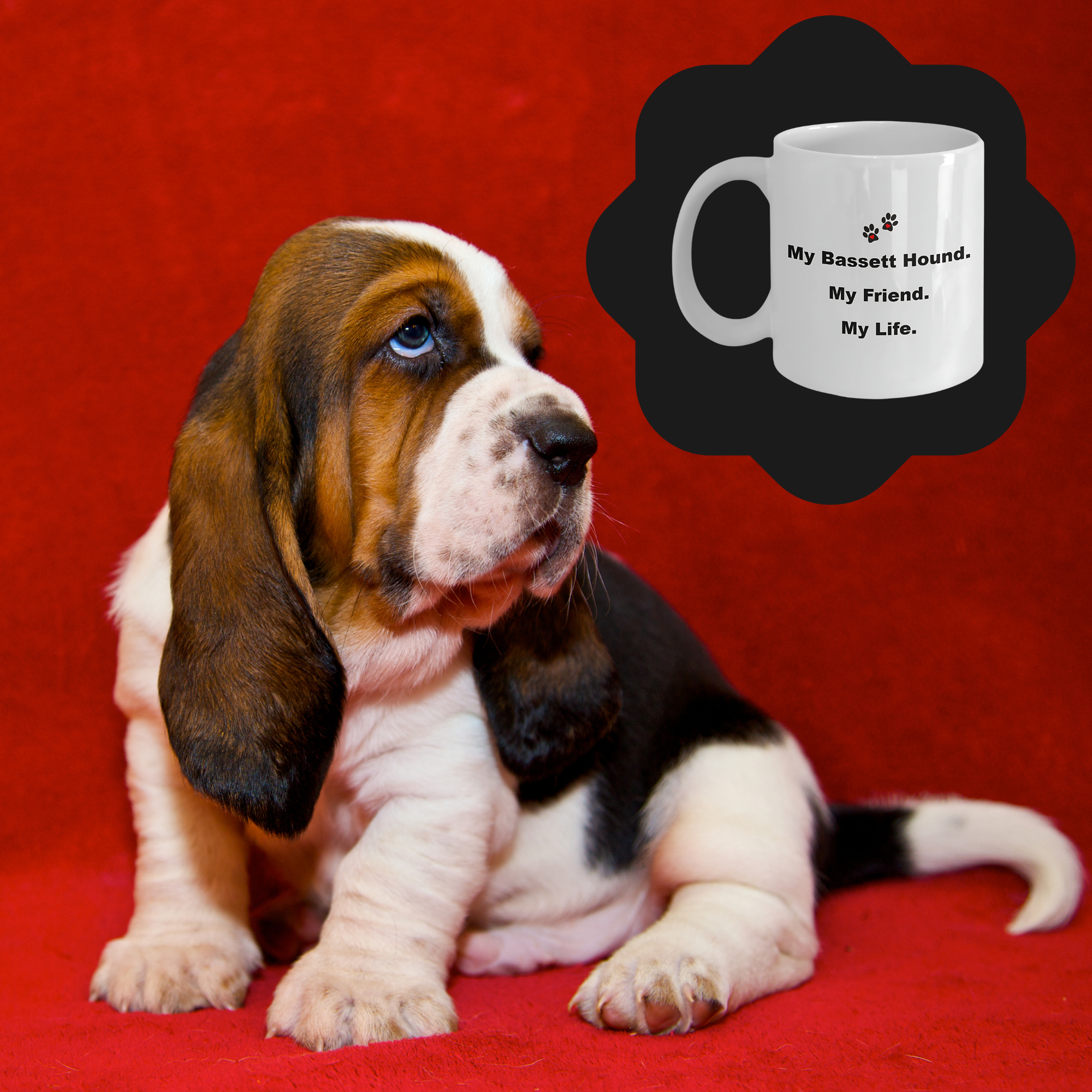 For Dog Lover, 50+ Breeds Avail, Dog Owner, Dog Walker, Dog Breeder, Animal Lover