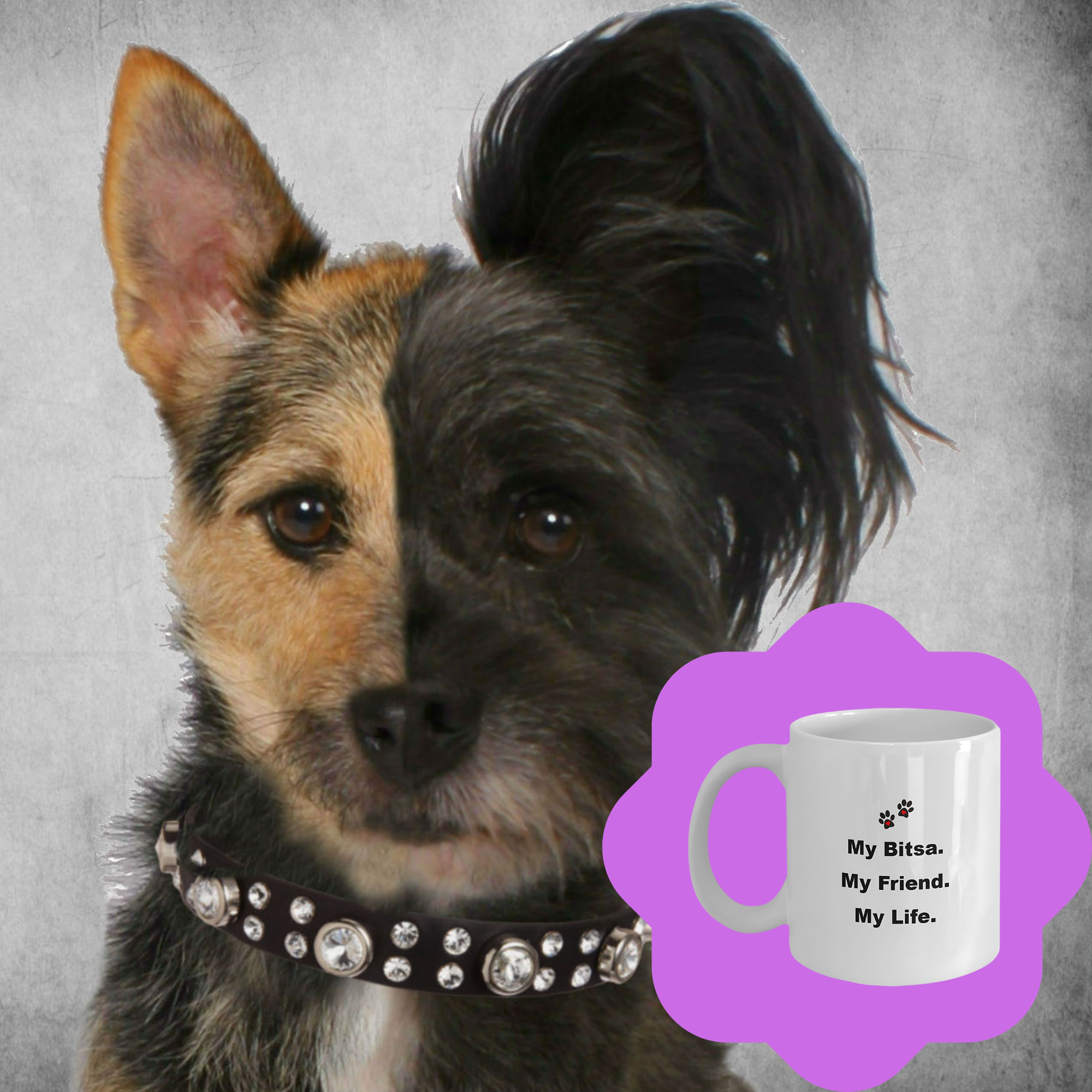 For Dog Lover, 50+ Breeds Avail, Dog Owner, Dog Walker, Dog Breeder, Animal Lover