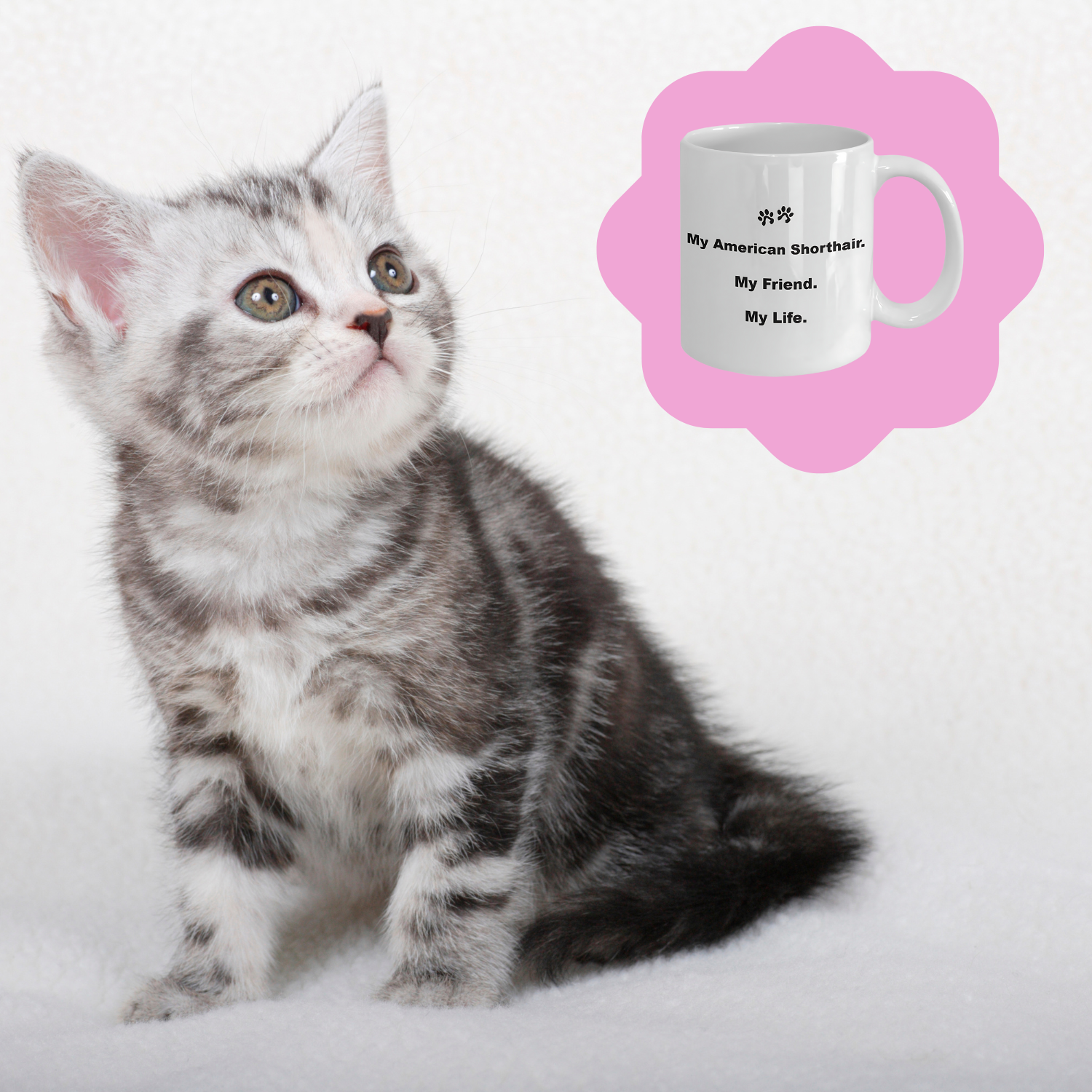 For Cat Lover, 40+ Breeds Avail, Cat Owner, Cat Breeder, Feline Friend