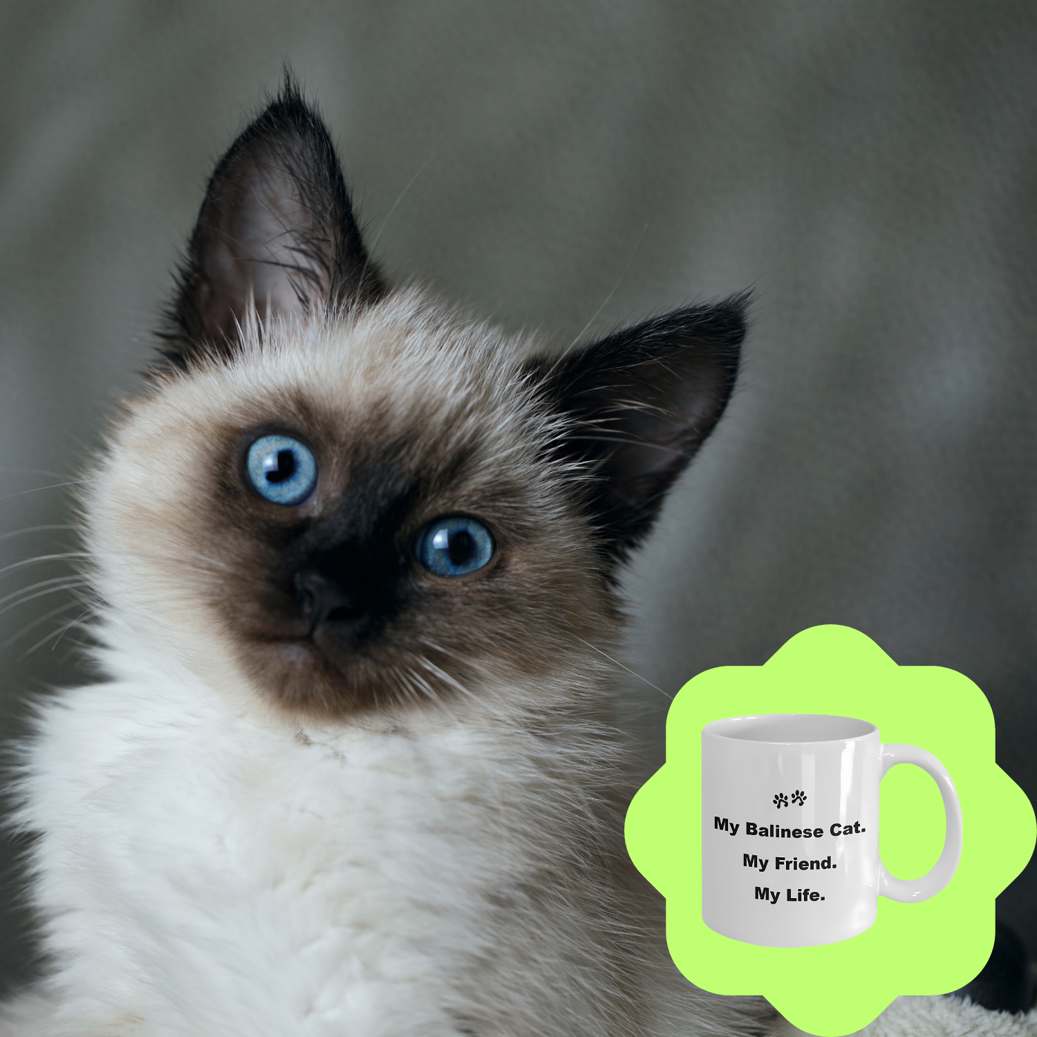For Cat Lover, 40+ Breeds Avail, Cat Owner, Cat Breeder, Feline Friend