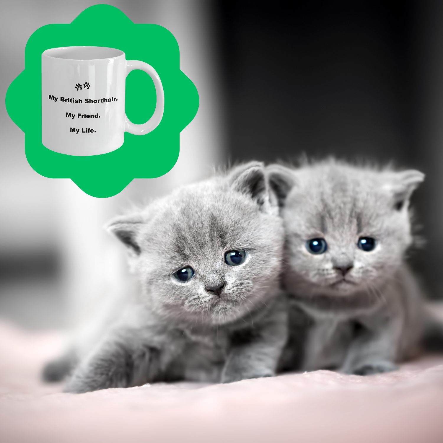 For Cat Lover, 40+ Breeds Avail, Cat Owner, Cat Breeder, Feline Friend