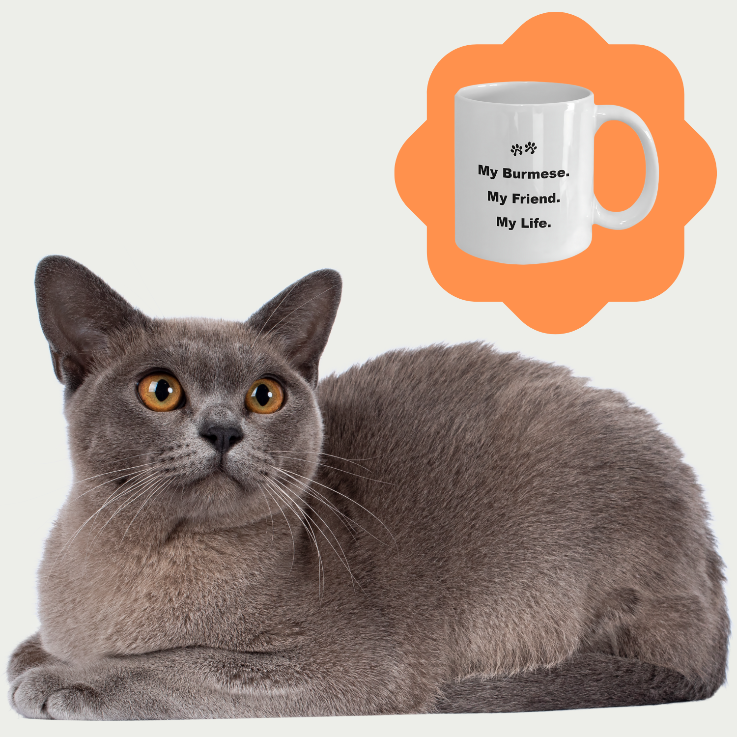For Cat Lover, 40+ Breeds Avail, Cat Owner, Cat Breeder, Feline Friend