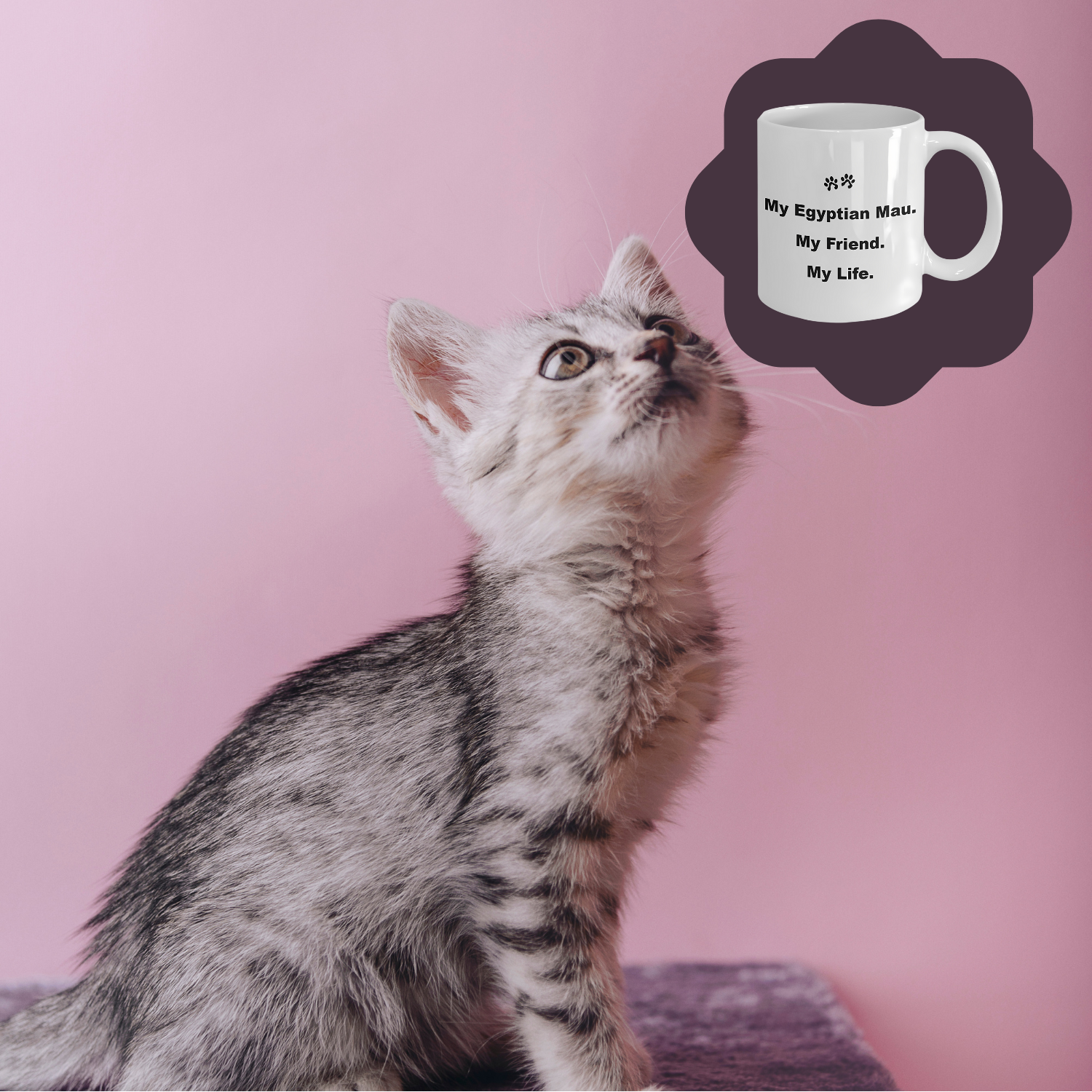 For Cat Lover, 40+ Breeds Avail, Cat Owner, Cat Breeder, Feline Friend