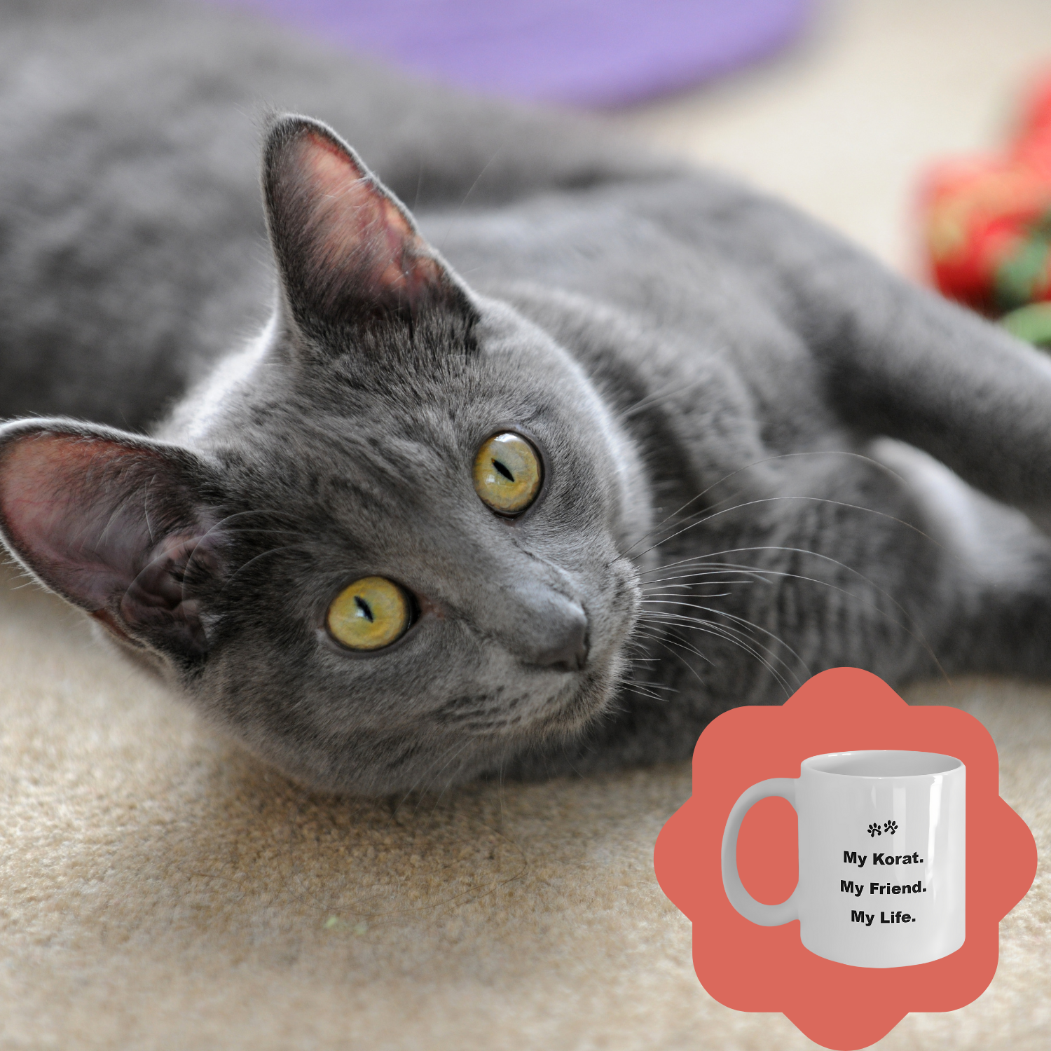 For Cat Lover, 40+ Breeds Avail, Cat Owner, Cat Breeder, Feline Friend
