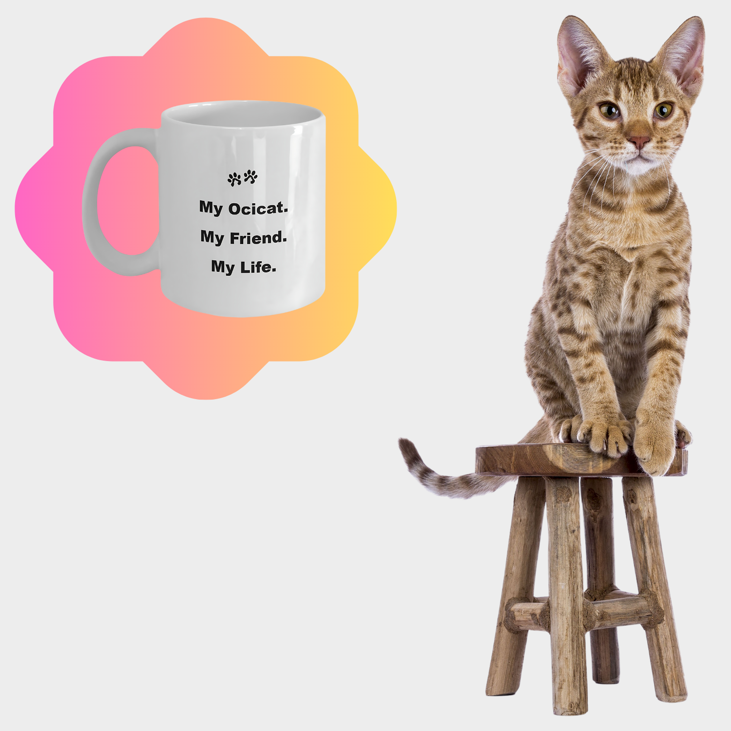 For Cat Lover, 40+ Breeds Avail, Cat Owner, Cat Breeder, Feline Friend