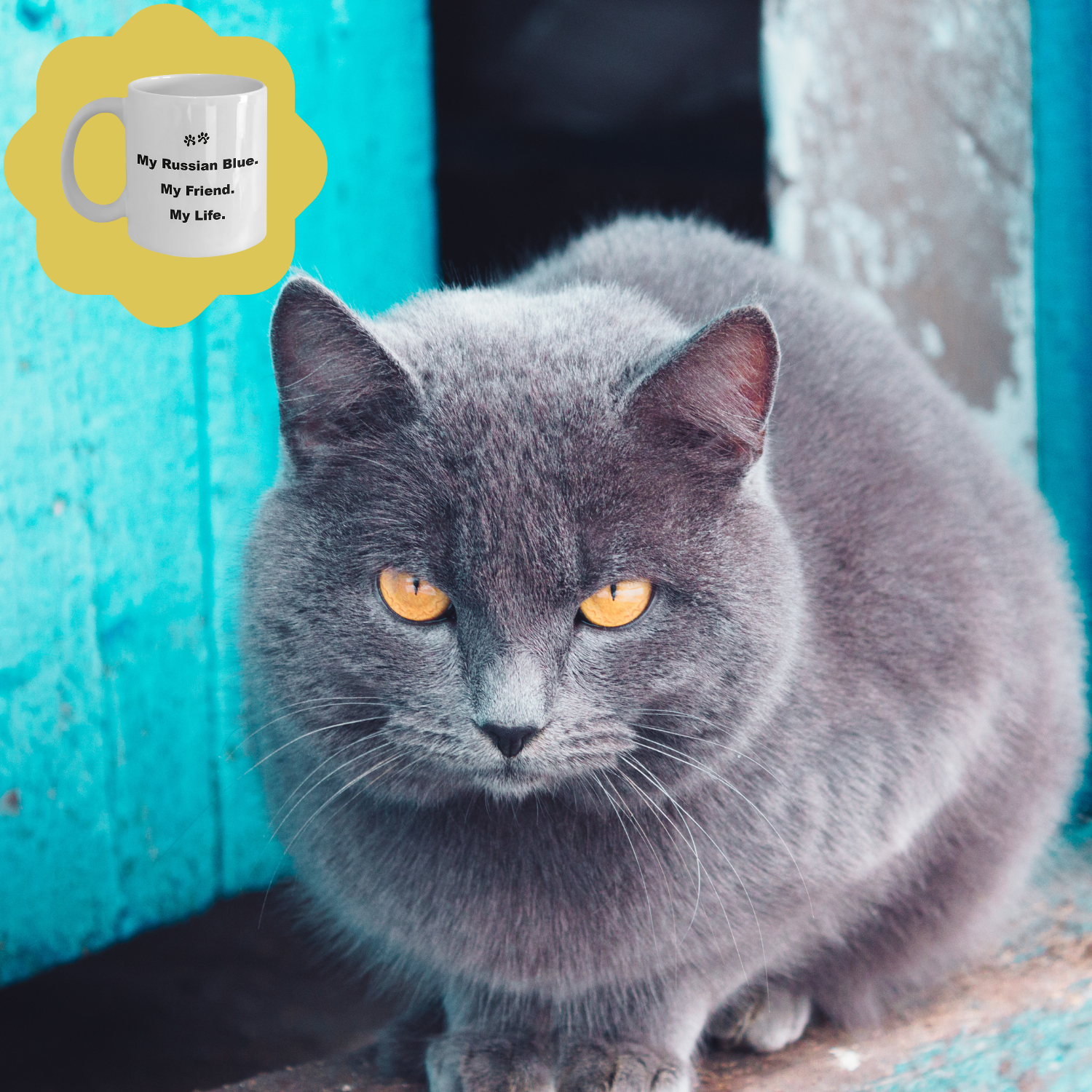 For Cat Lover, 40+ Breeds Avail, Cat Owner, Cat Breeder, Feline Friend