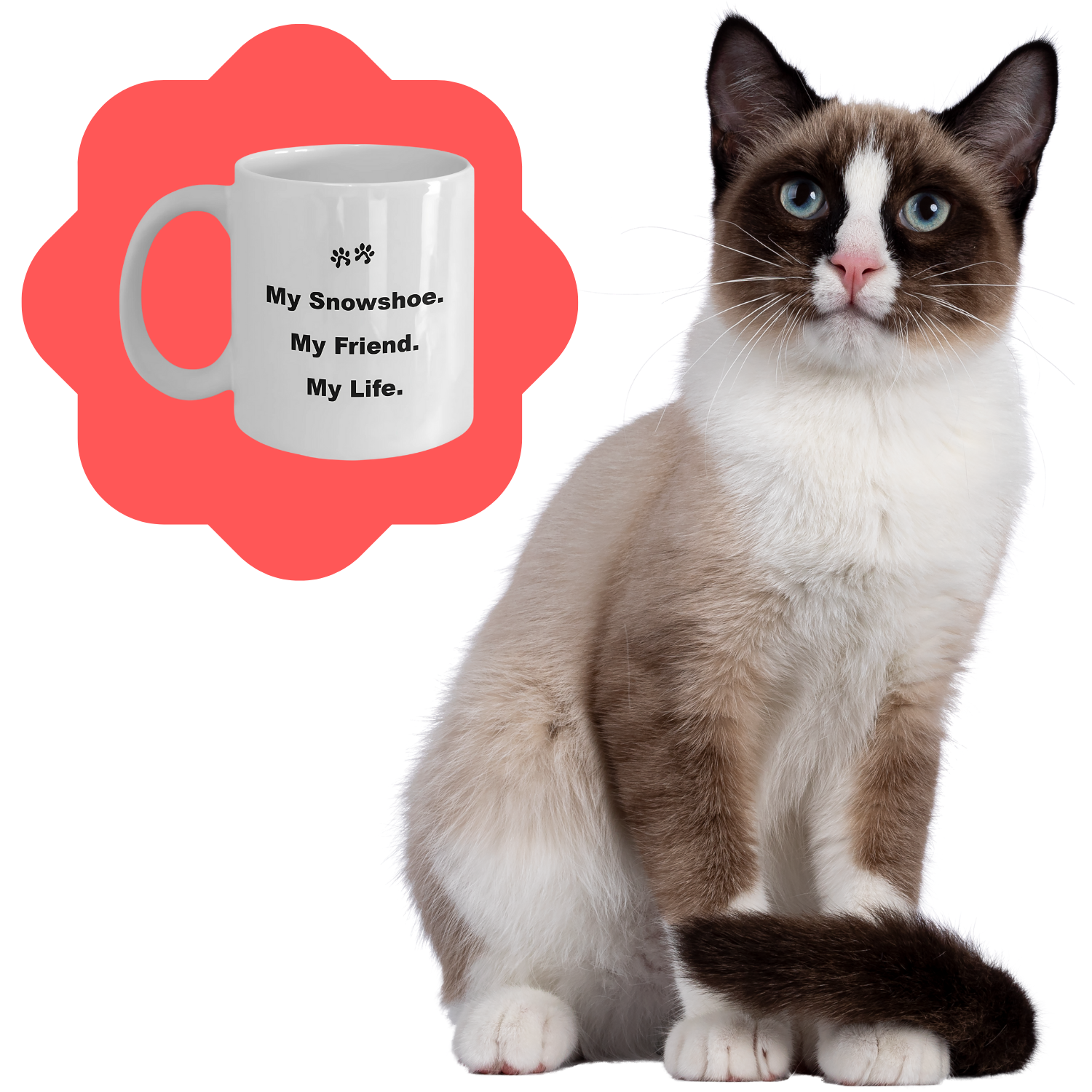 For Cat Lover, 40+ Breeds Avail, Cat Owner, Cat Breeder, Feline Friend