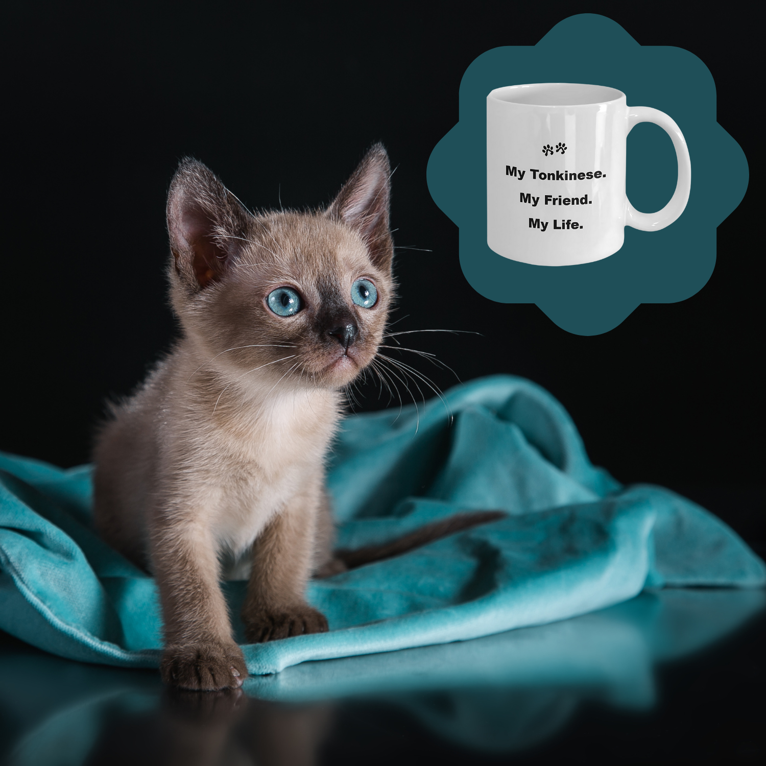 For Cat Lover, 40+ Breeds Avail, Cat Owner, Cat Breeder, Feline Friend