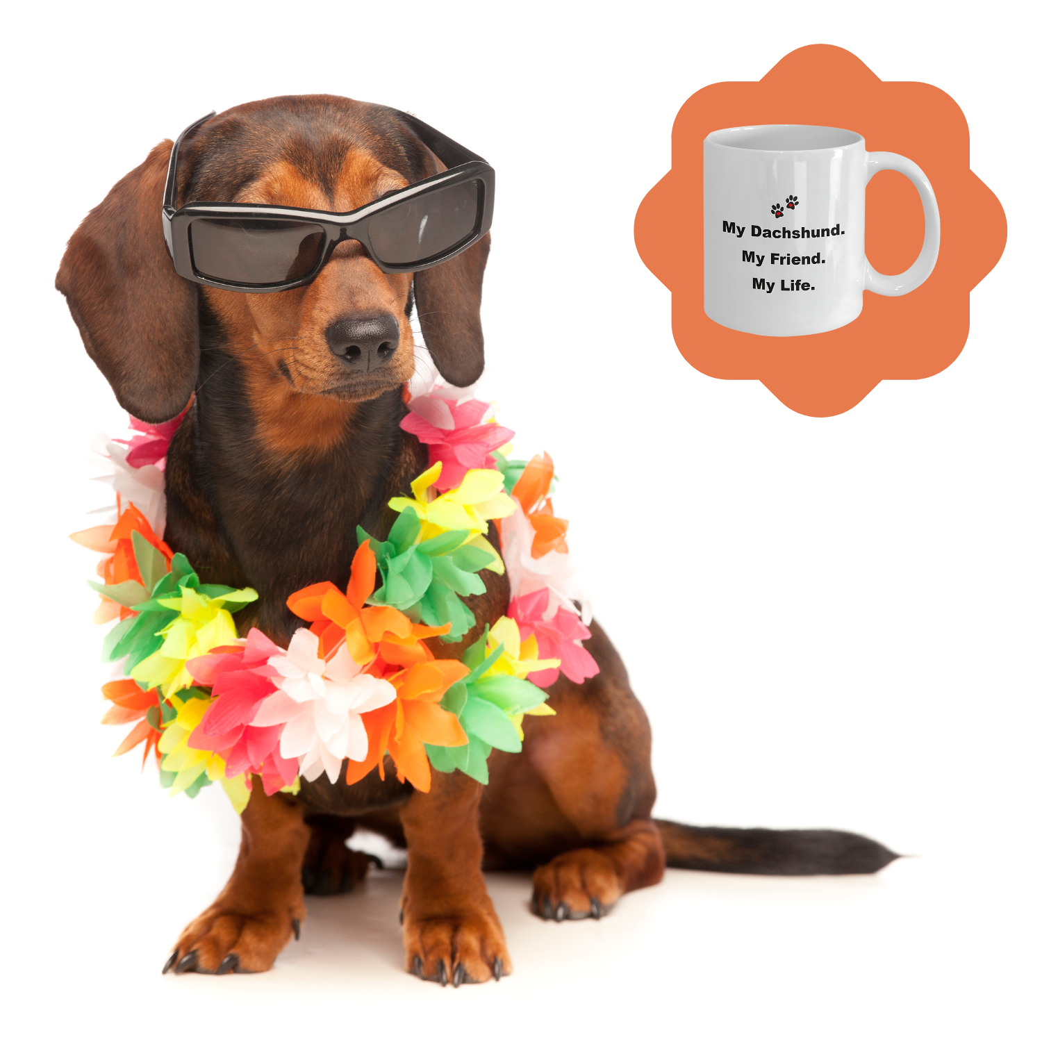 For Dog Lover, 50+ Breeds Avail, Dog Owner, Dog Walker, Dog Breeder, Animal Lover