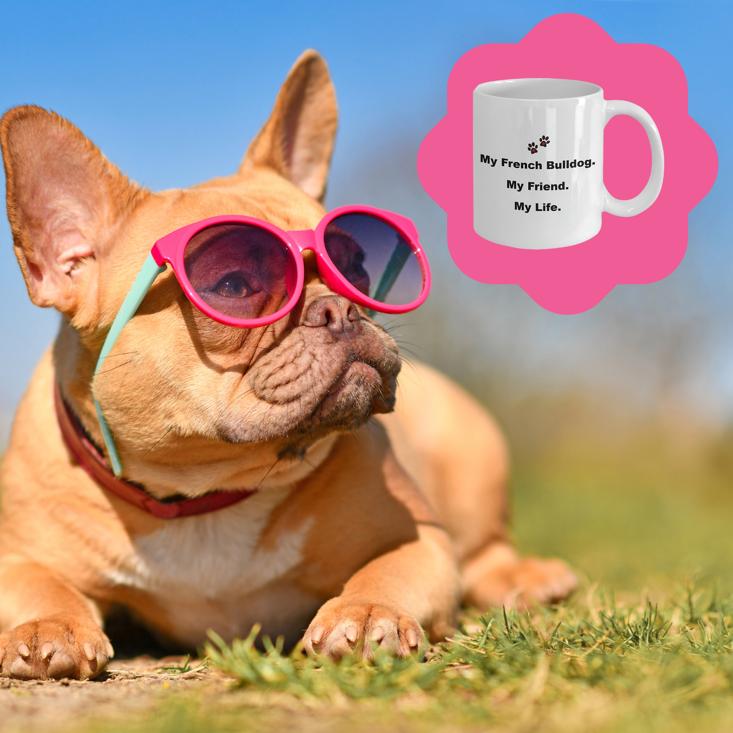 For Dog Lover, 50+ Breeds Avail, Dog Owner, Dog Walker, Dog Breeder, Animal Lover