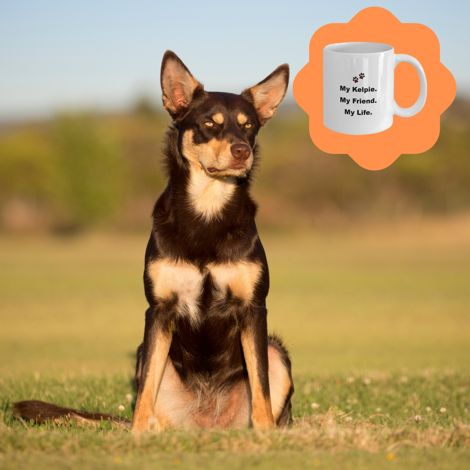 For Dog Lover, 50+ Breeds Avail, Dog Owner, Dog Walker, Dog Breeder, Animal Lover