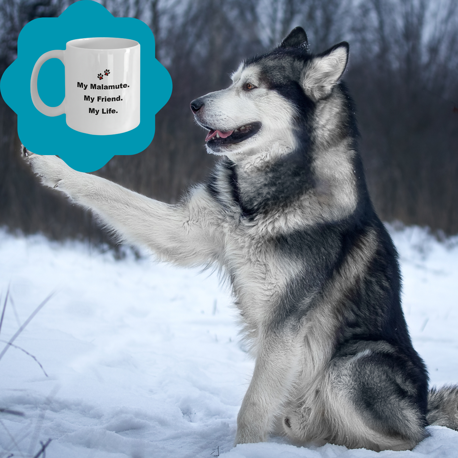 For Dog Lover, 50+ Breeds Avail, Dog Owner, Dog Walker, Dog Breeder, Animal Lover