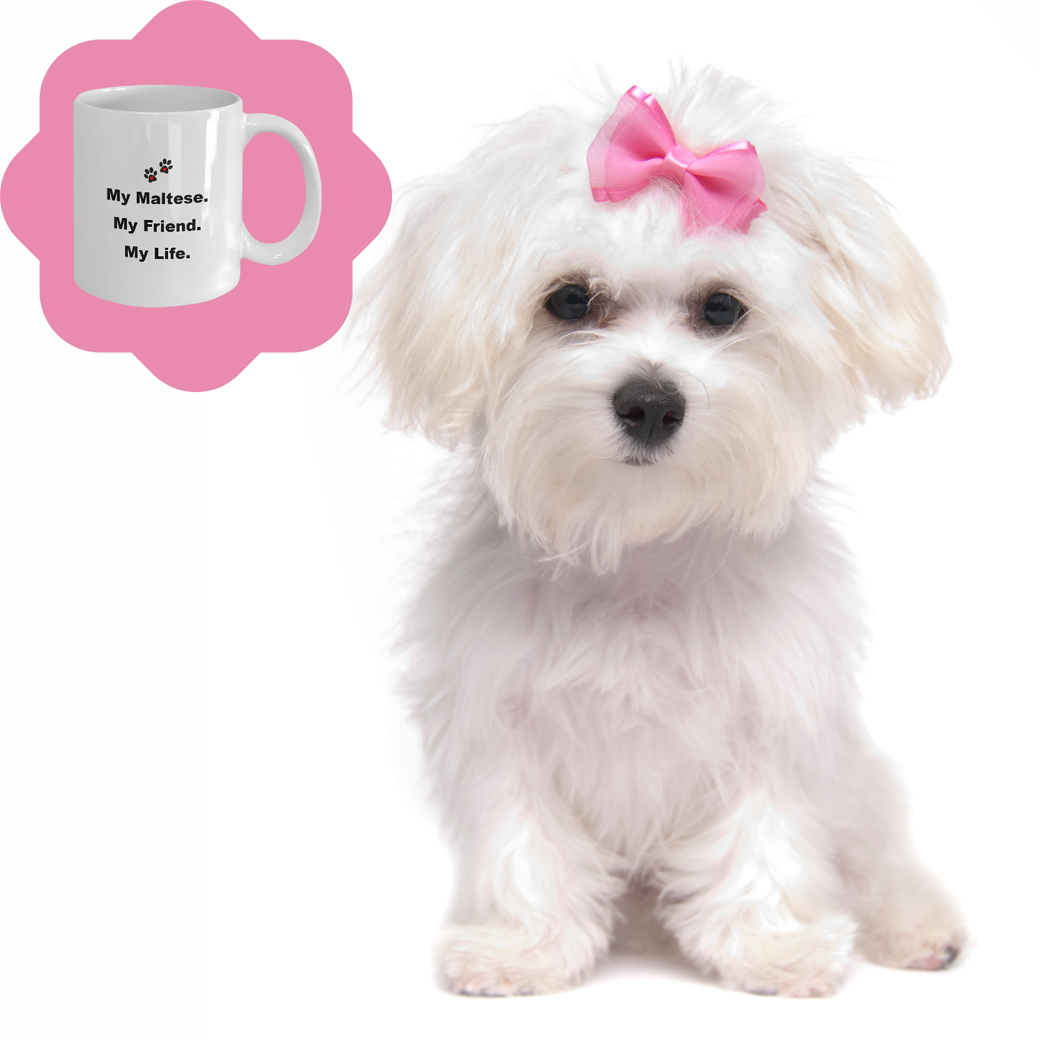 For Dog Lover, 50+ Breeds Avail, Dog Owner, Dog Walker, Dog Breeder, Animal Lover